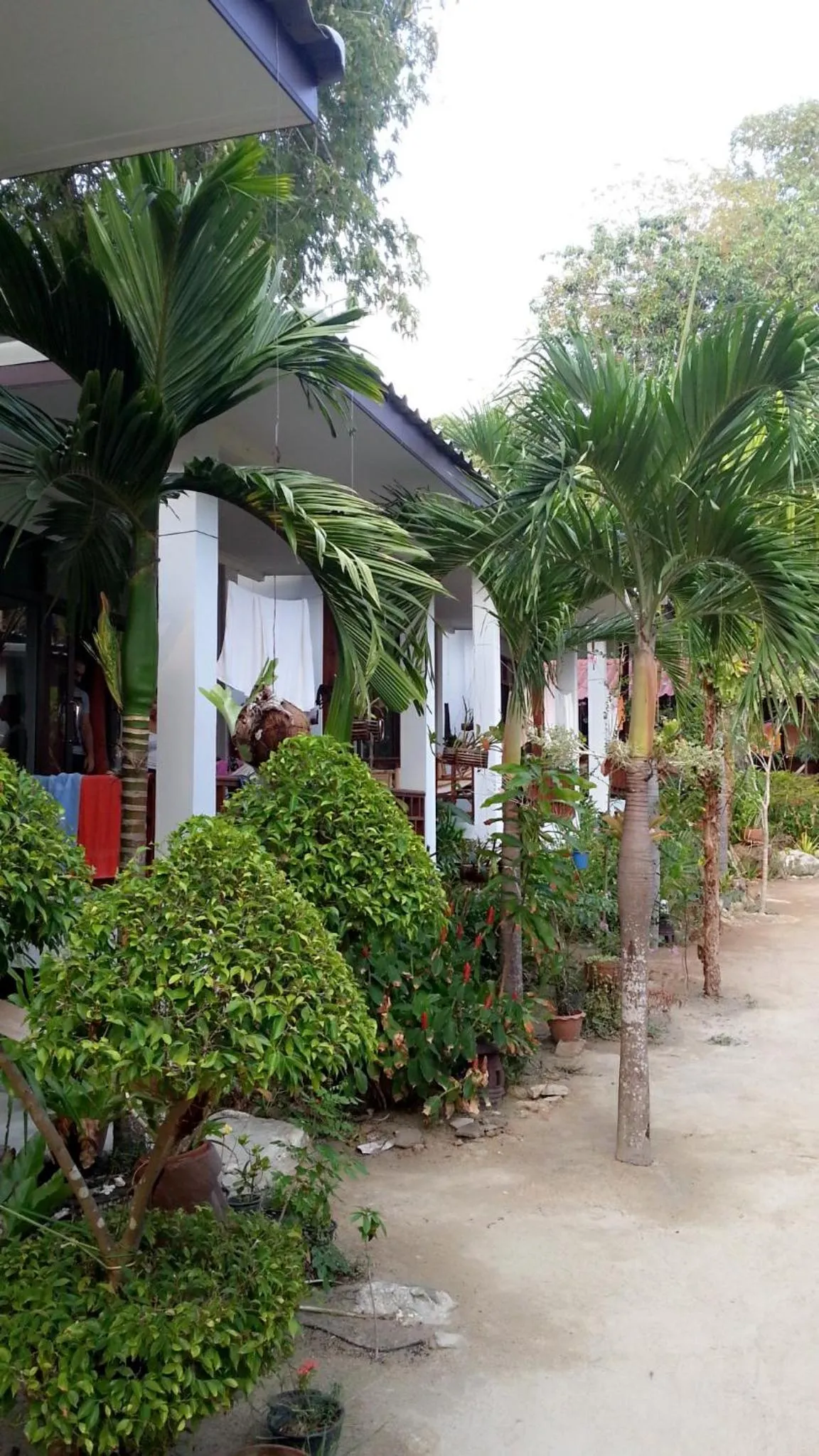 Garden in Benjamin's Hut