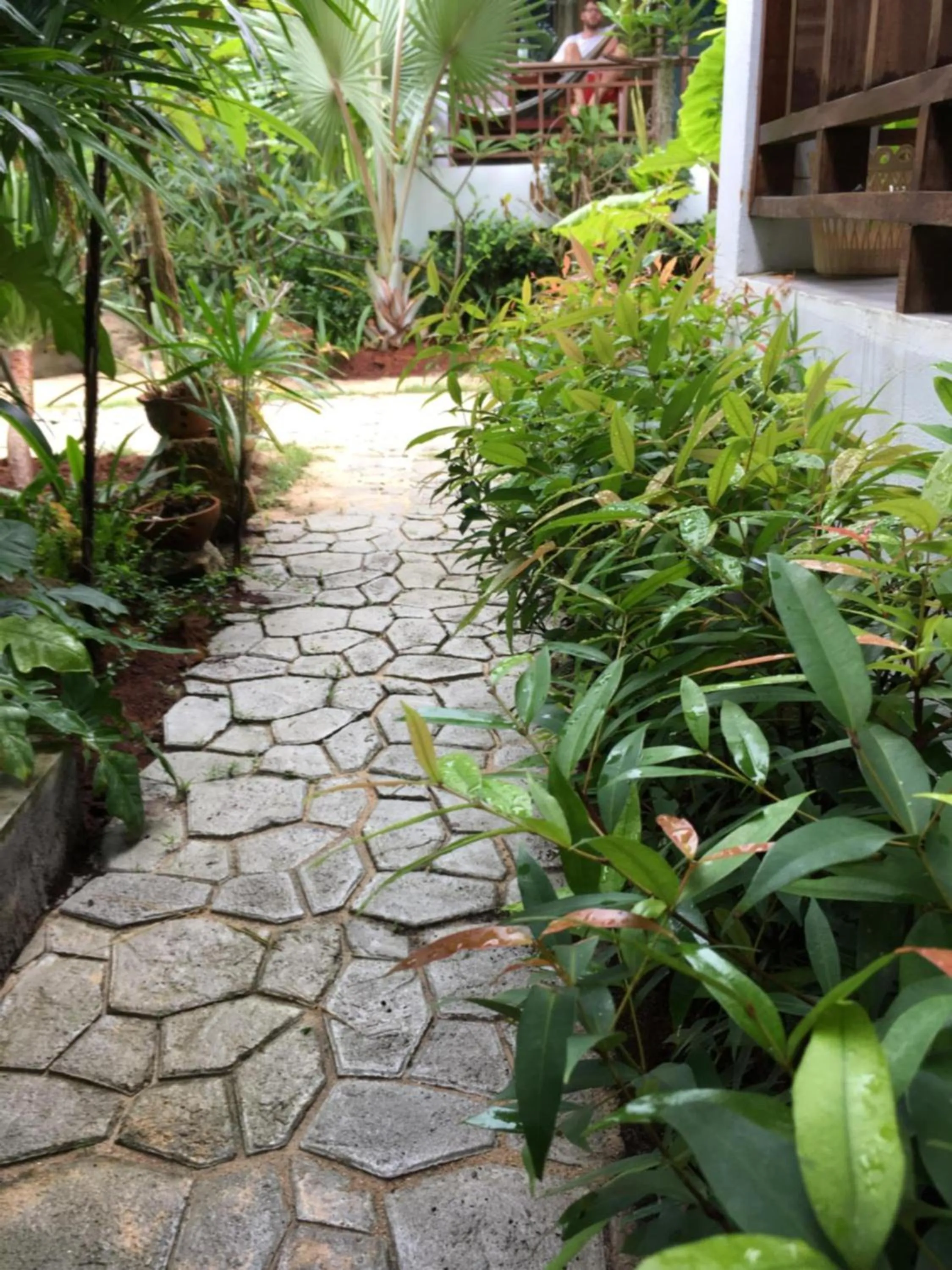 Natural landscape in Benjamin's Hut