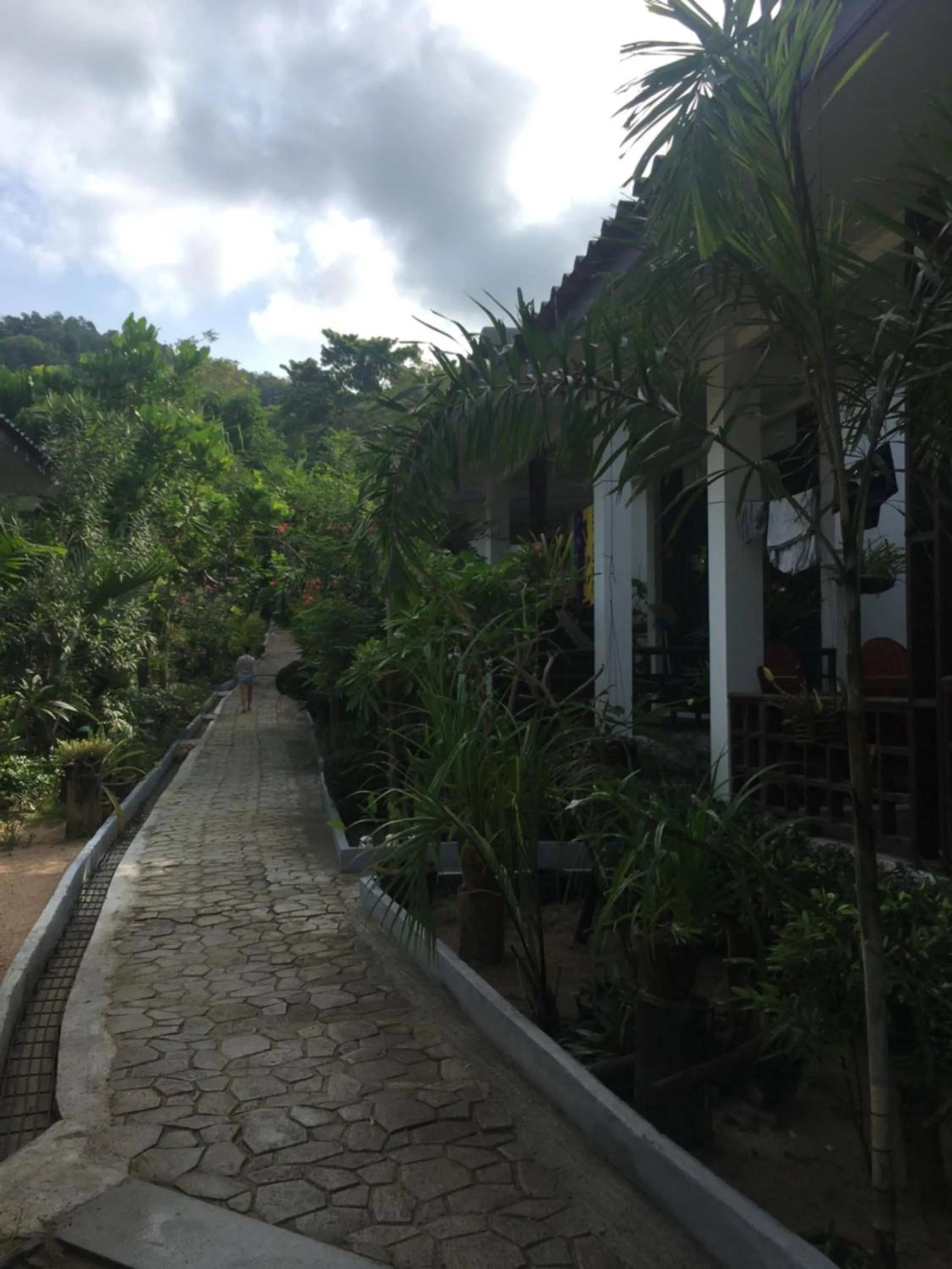 Garden in Benjamin's Hut