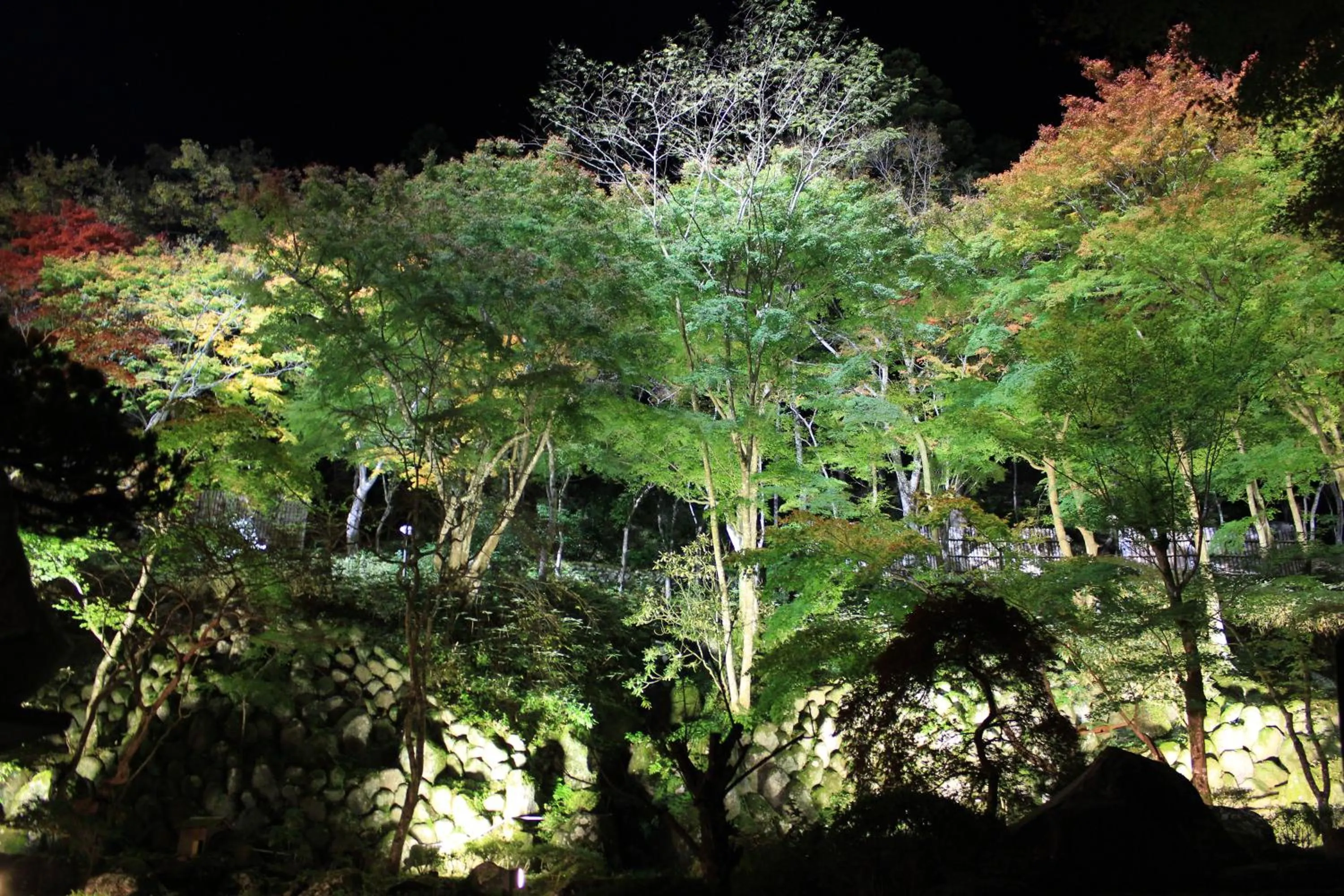 View (from property/room) in Sora Togetsusoukinryu