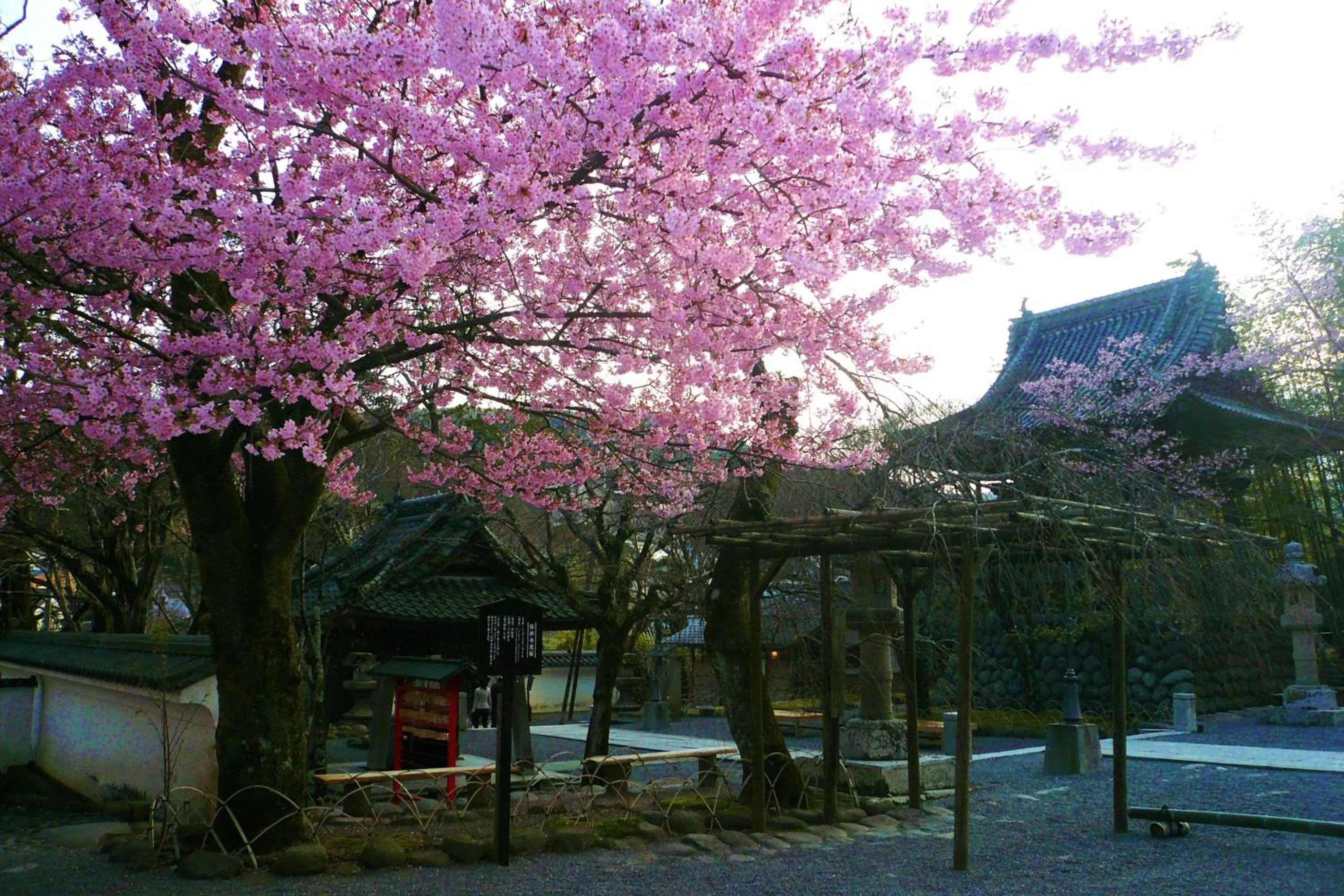 Area and facilities in Sora Togetsusoukinryu