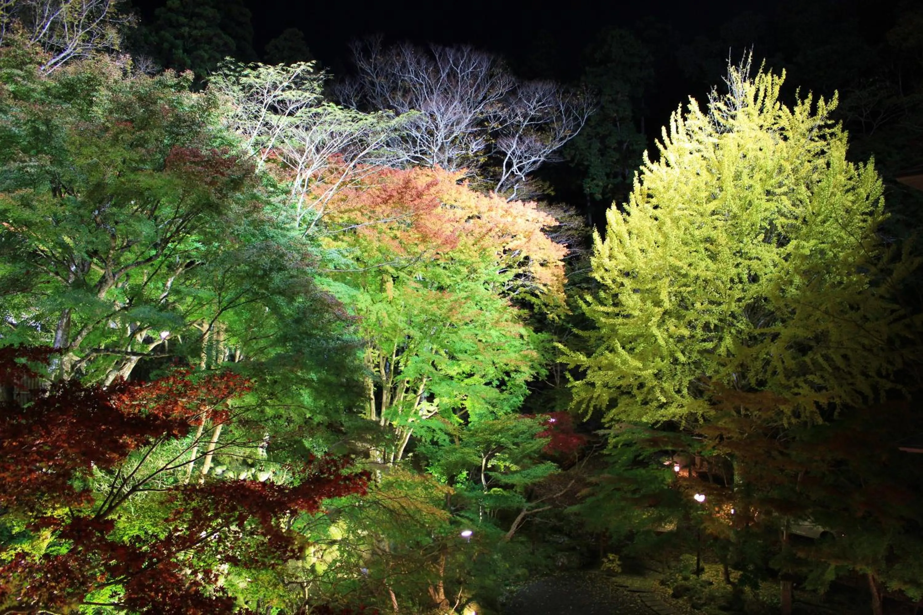 Other in Sora Togetsusoukinryu