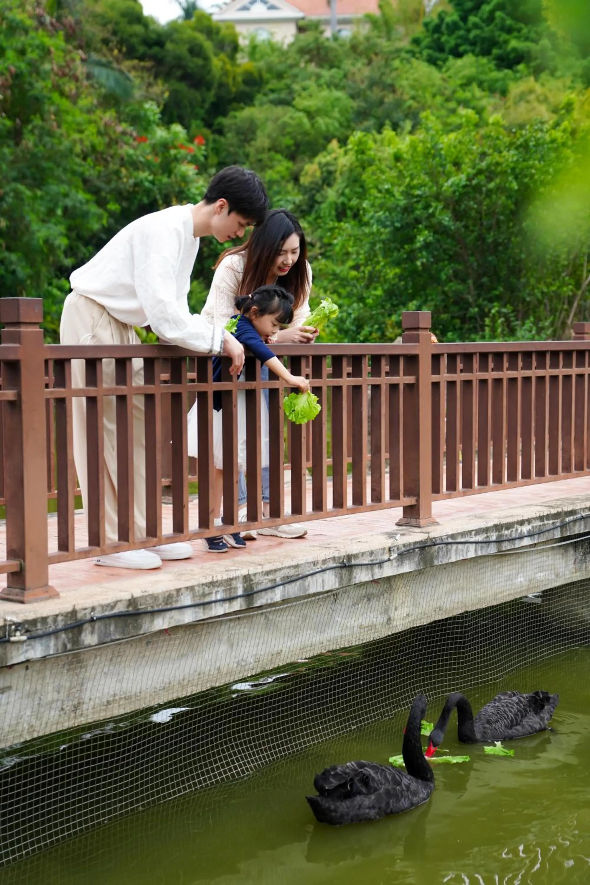 Garden in Xiamen C&D Hotel
