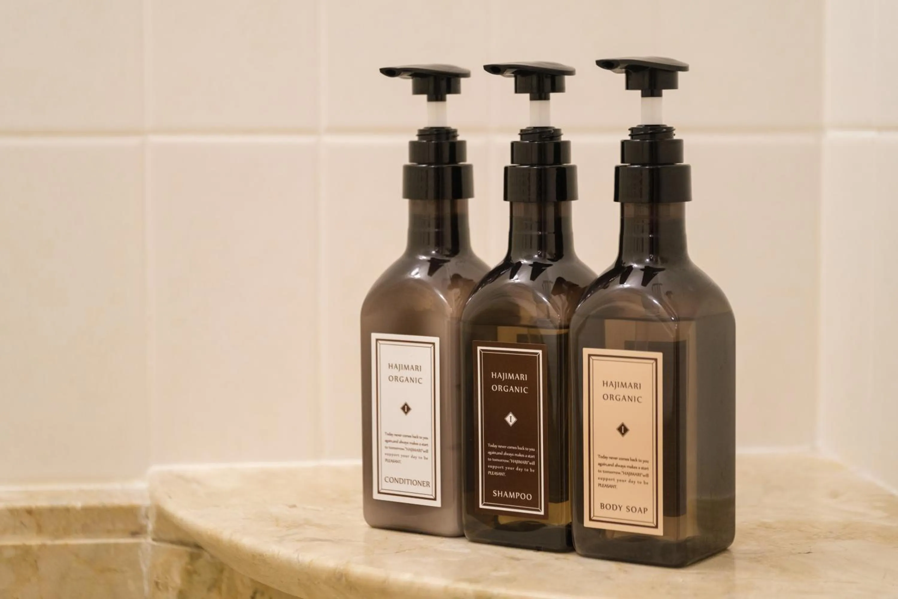 Bathroom in Kanazawa Tokyu Hotel