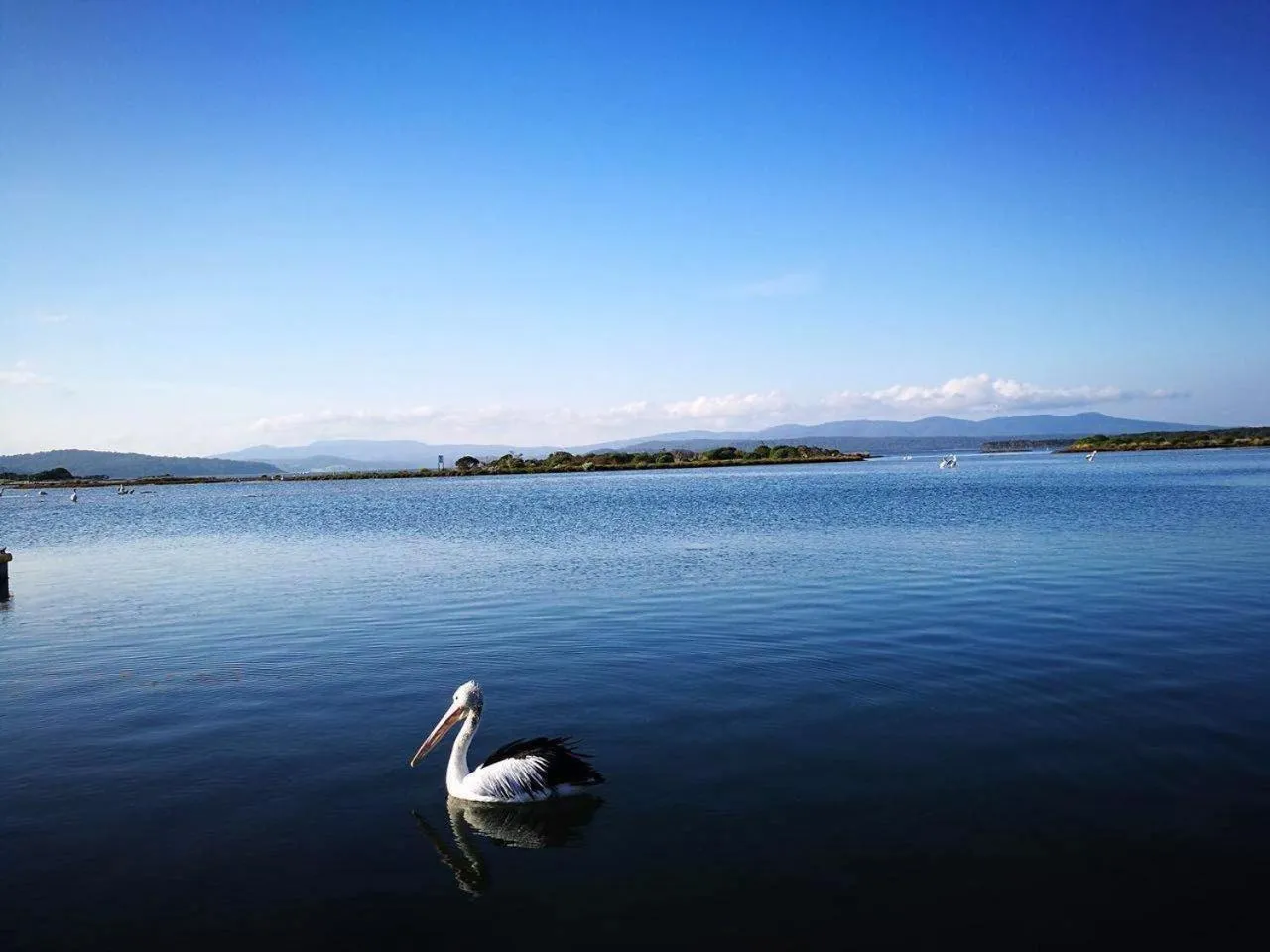 Lake view in Kickback Cottages