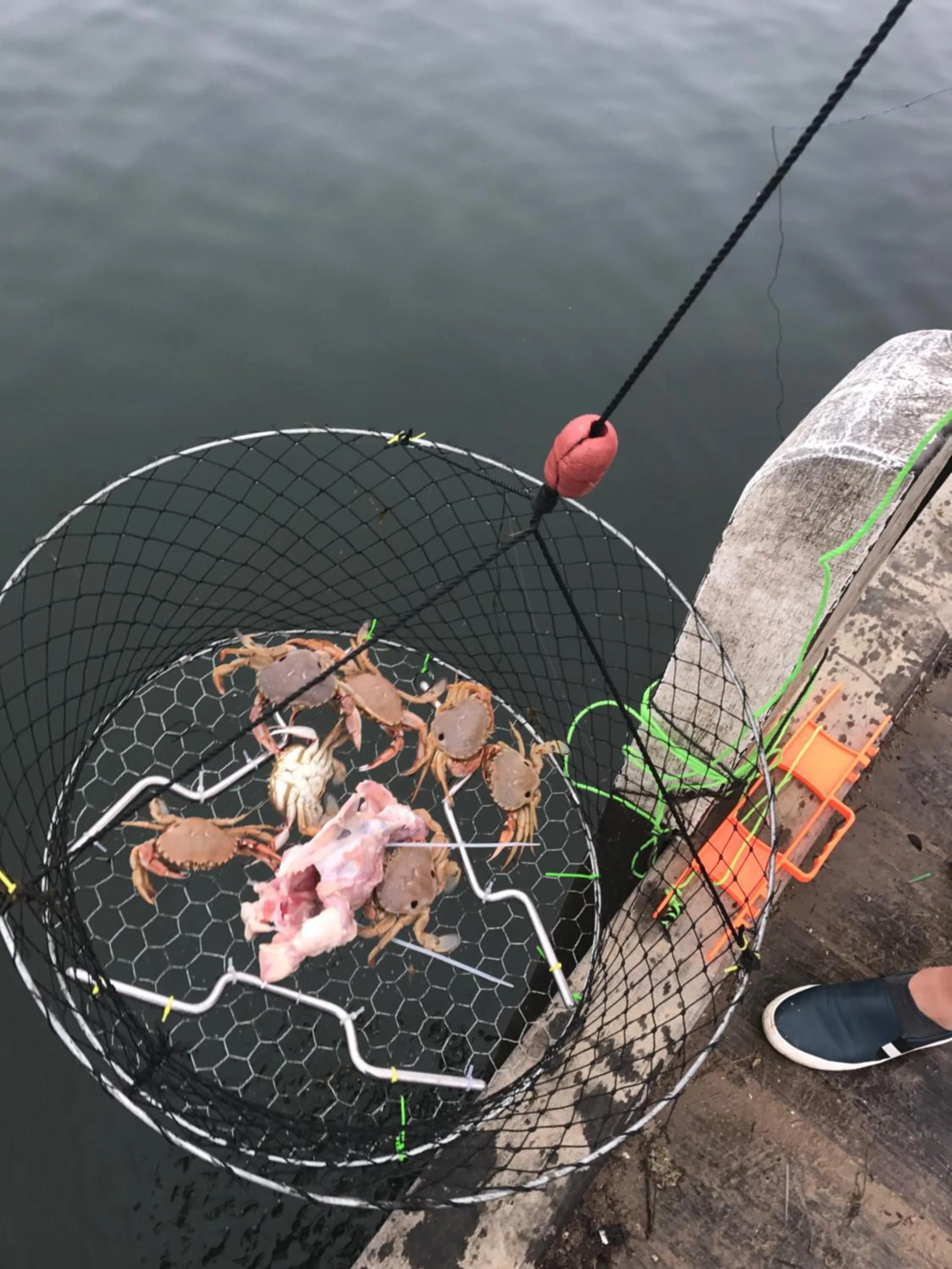 Fishing in Kickback Cottages