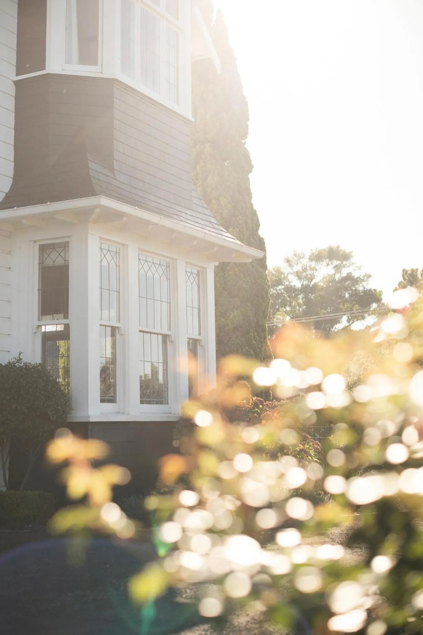 Property building in Cedar House