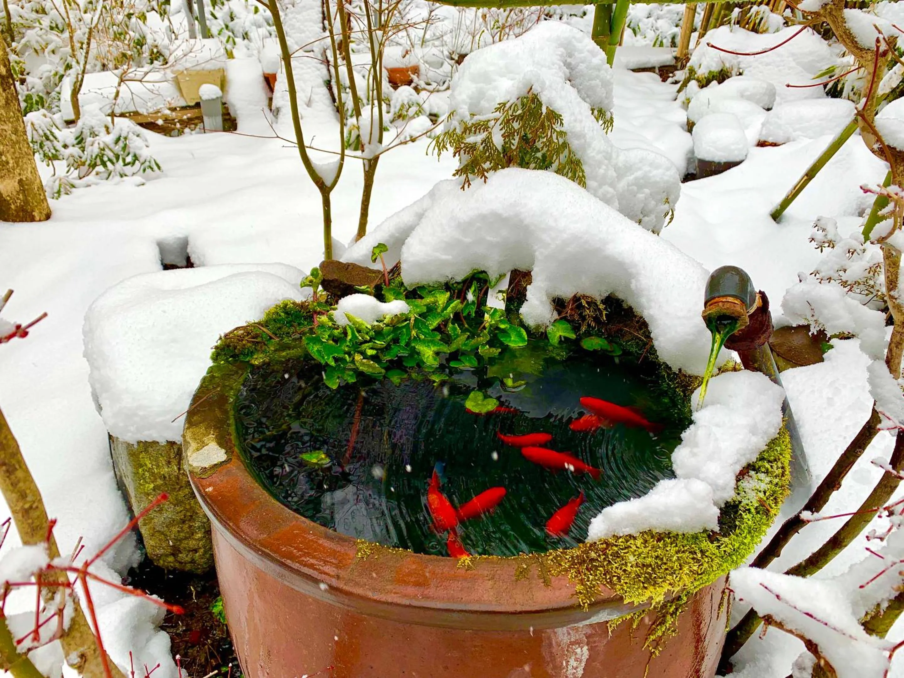 Area and facilities in Kirishimaya Ryokan