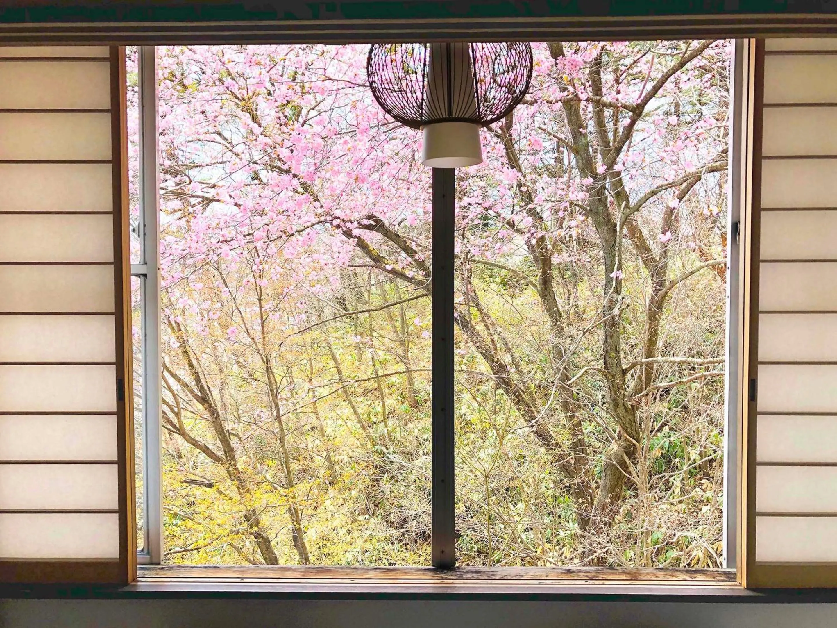 View (from property/room) in Kirishimaya Ryokan