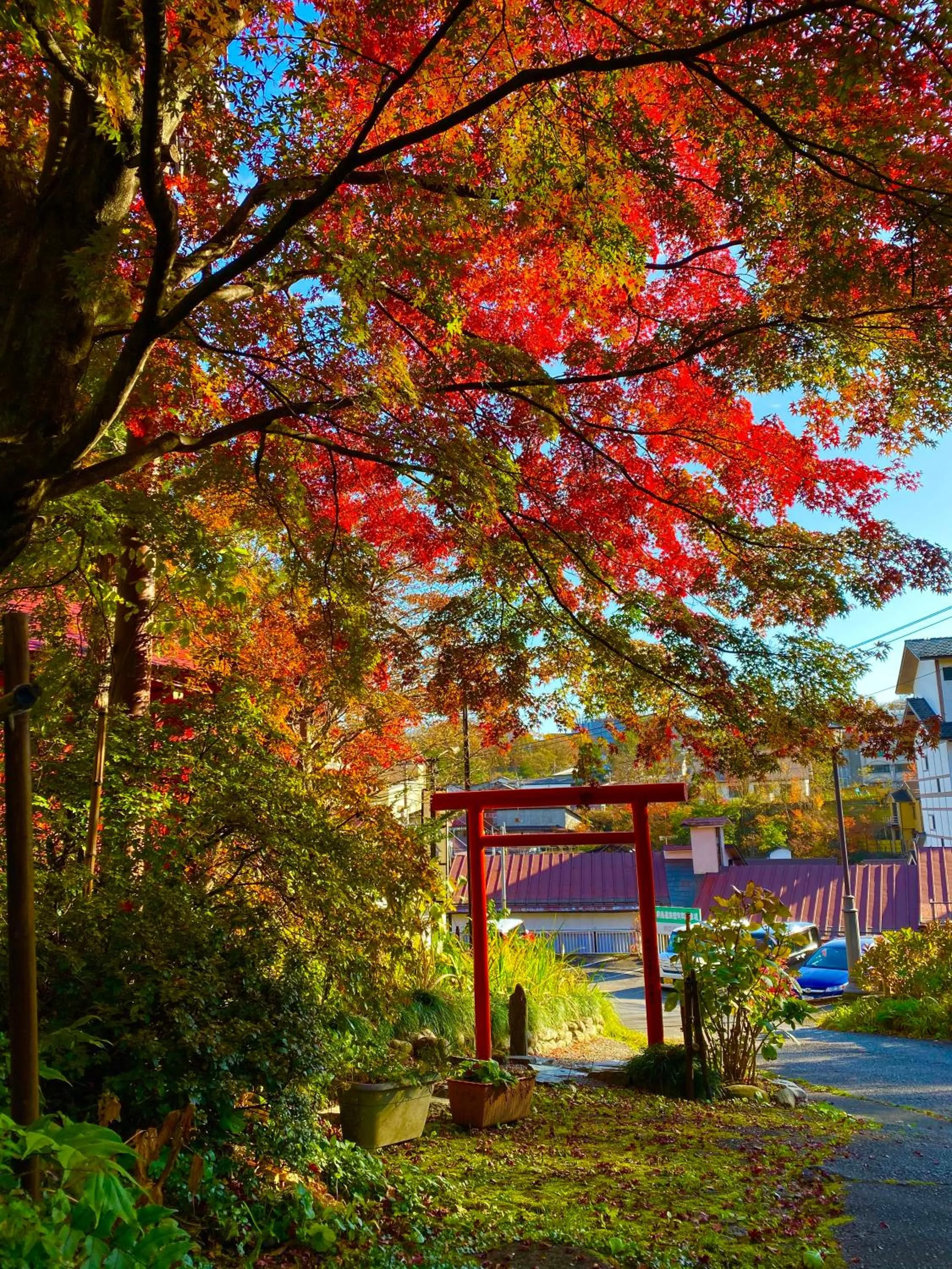 Garden in Kirishimaya Ryokan
