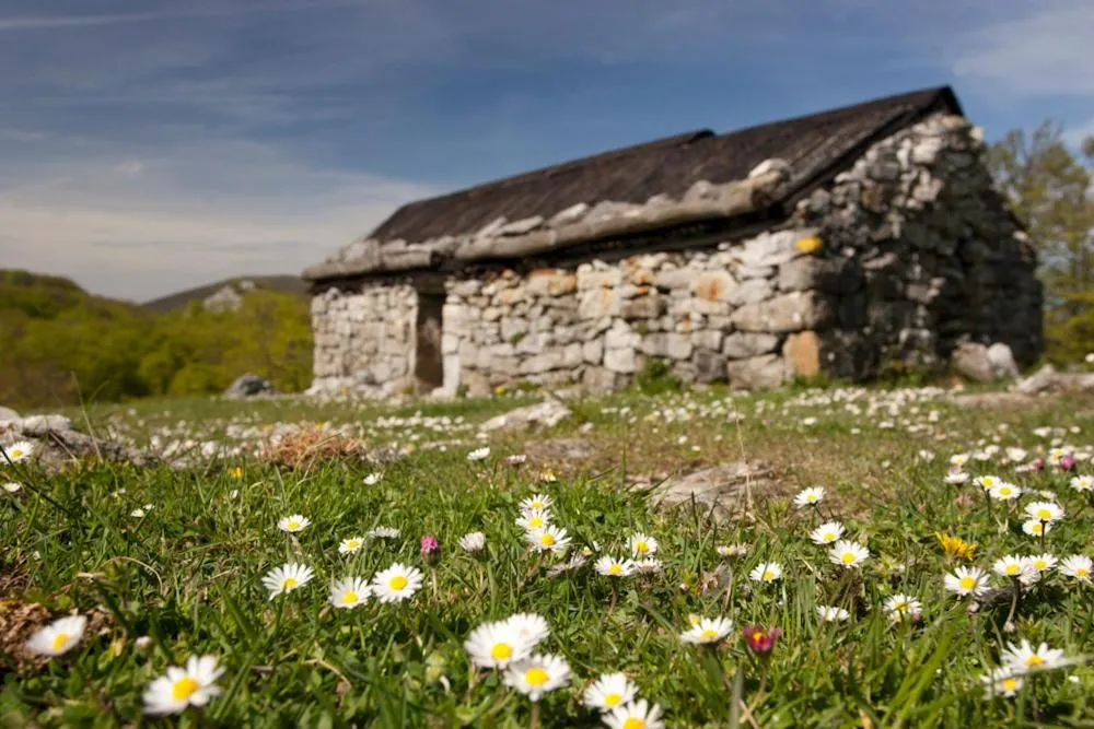 Area and facilities in Casa Rural Etxegorri