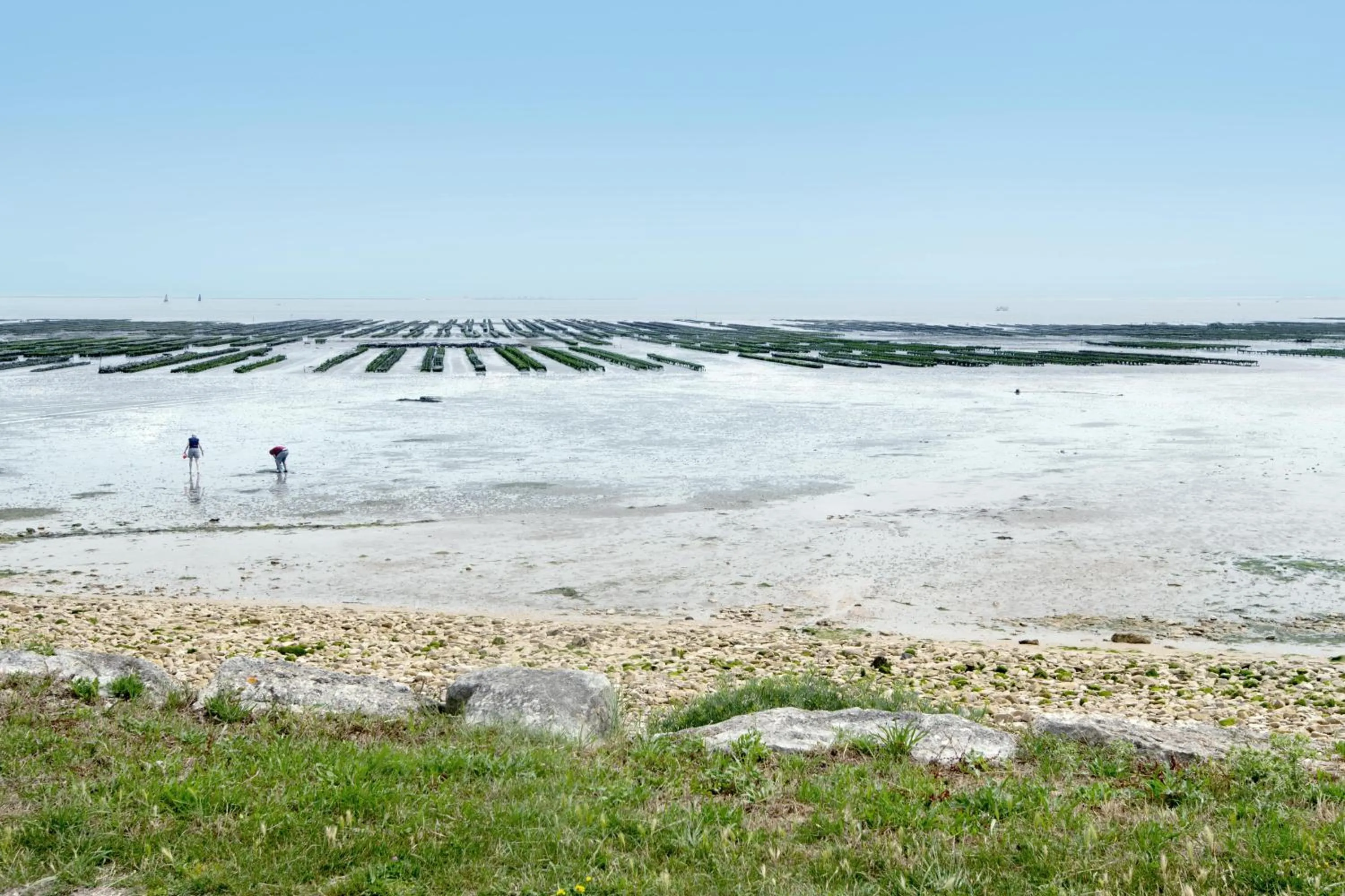 Sea view in Maison Trémiere