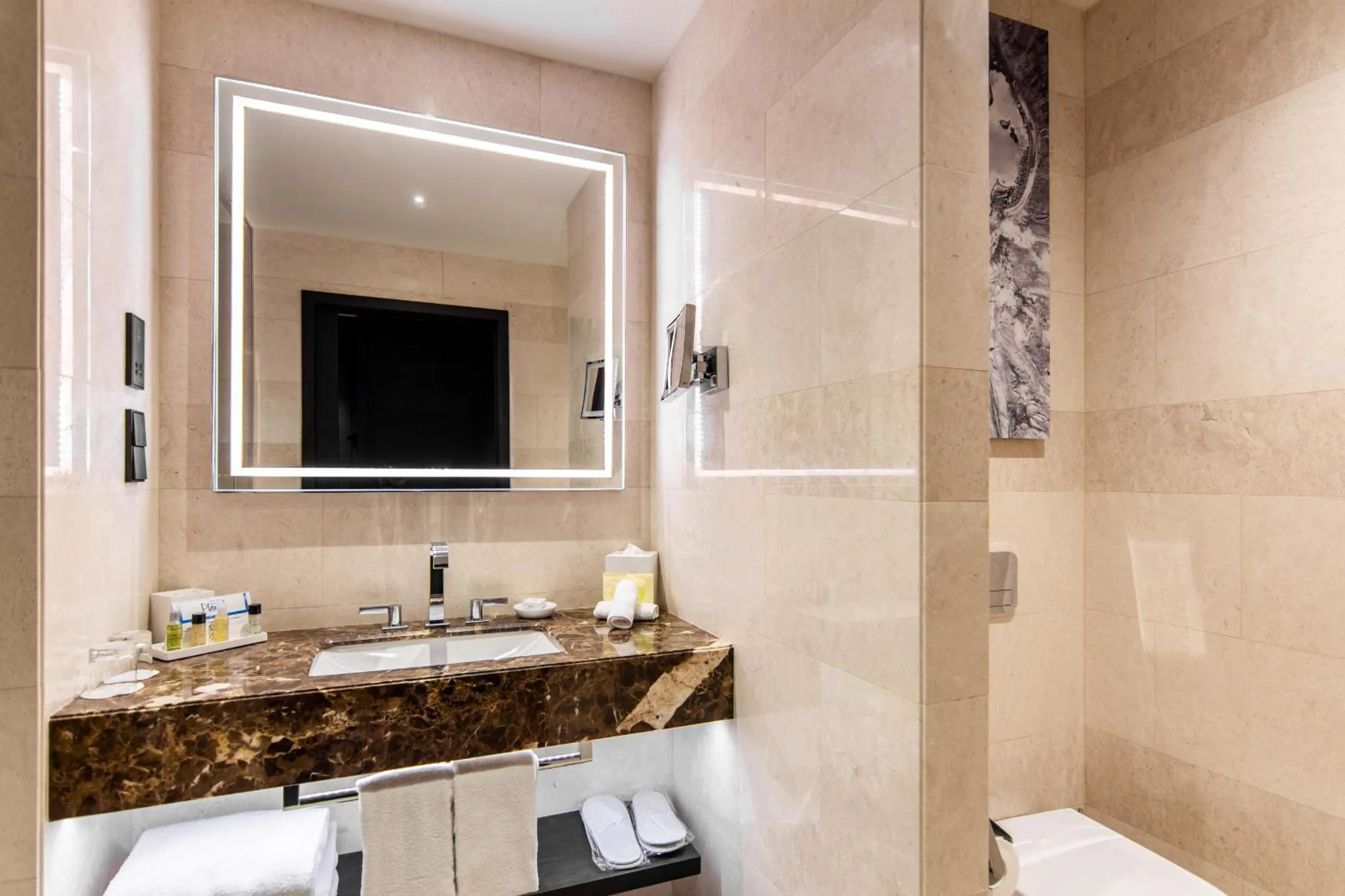 Bathroom in Hilton Belgrade