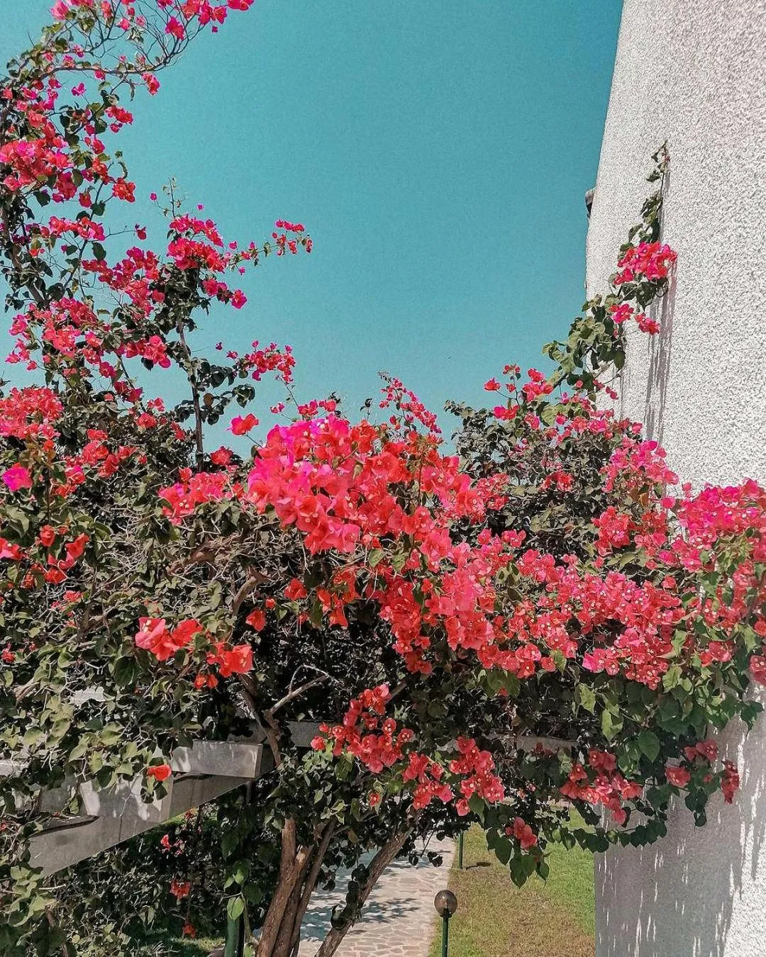 Hotel Kalamitsi Apartments