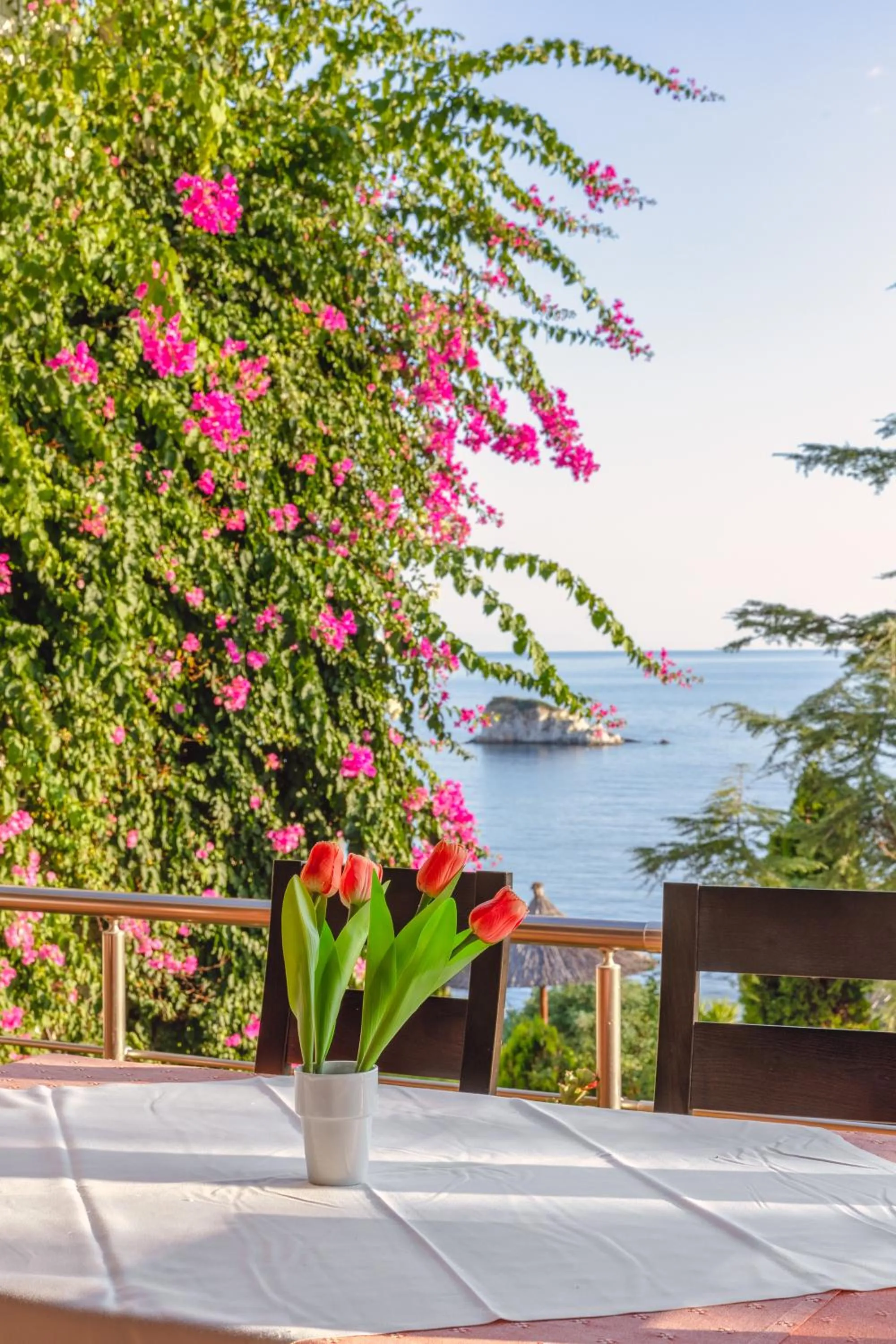 View (from property/room) in Costa Smeralda