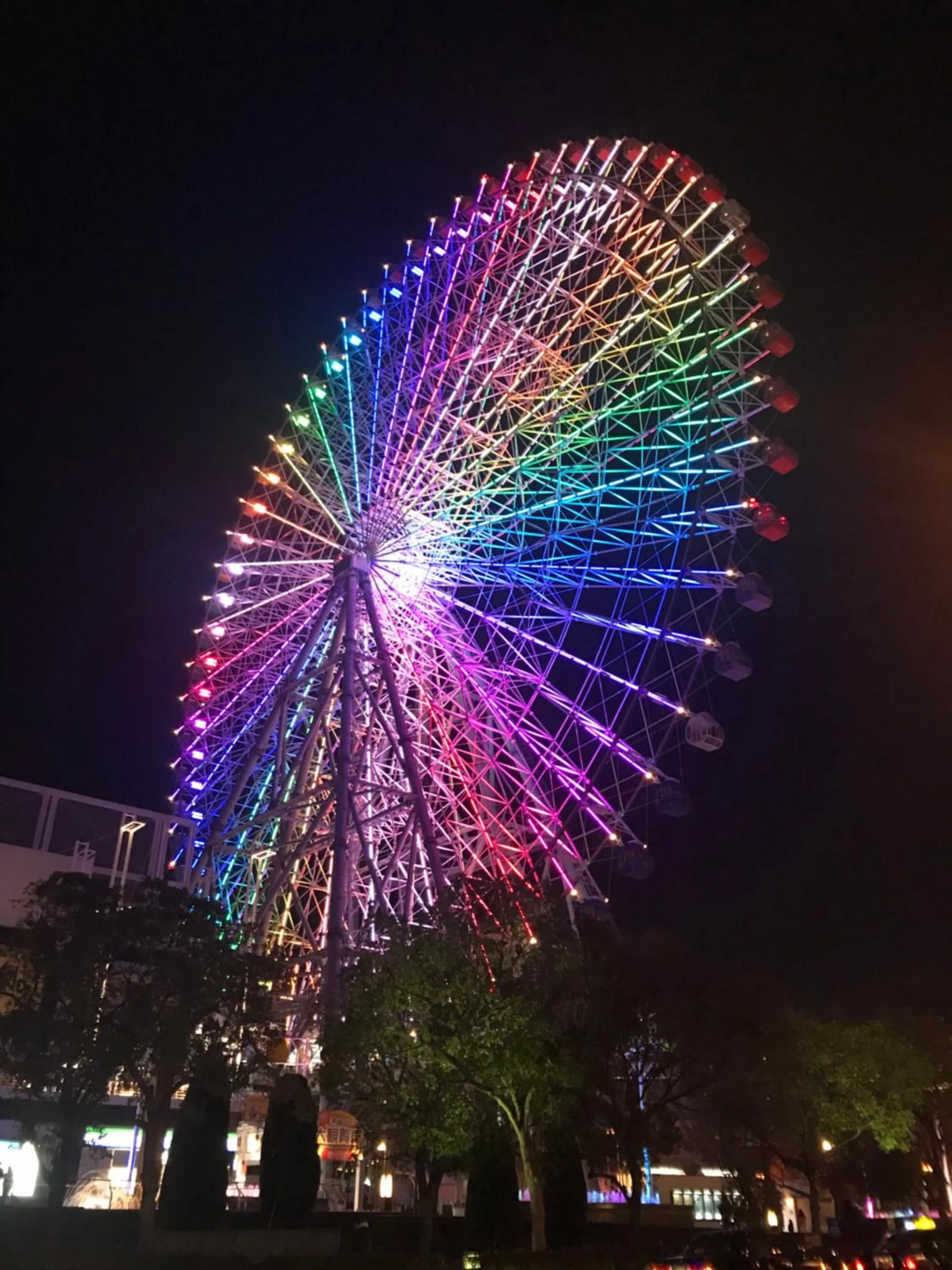 Activities in Guest House Rice Chikko