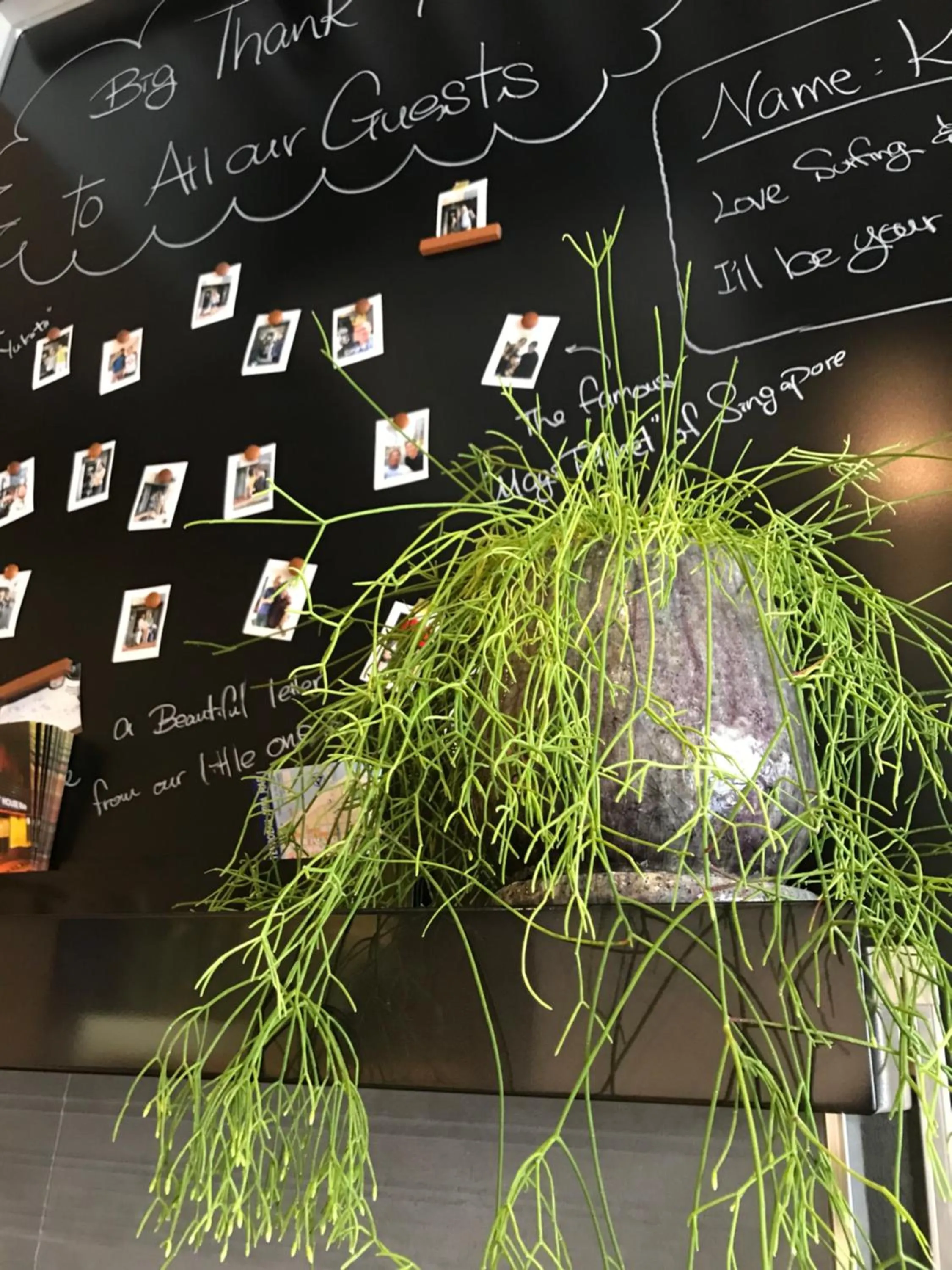 Decorative detail in Guest House Rice Chikko