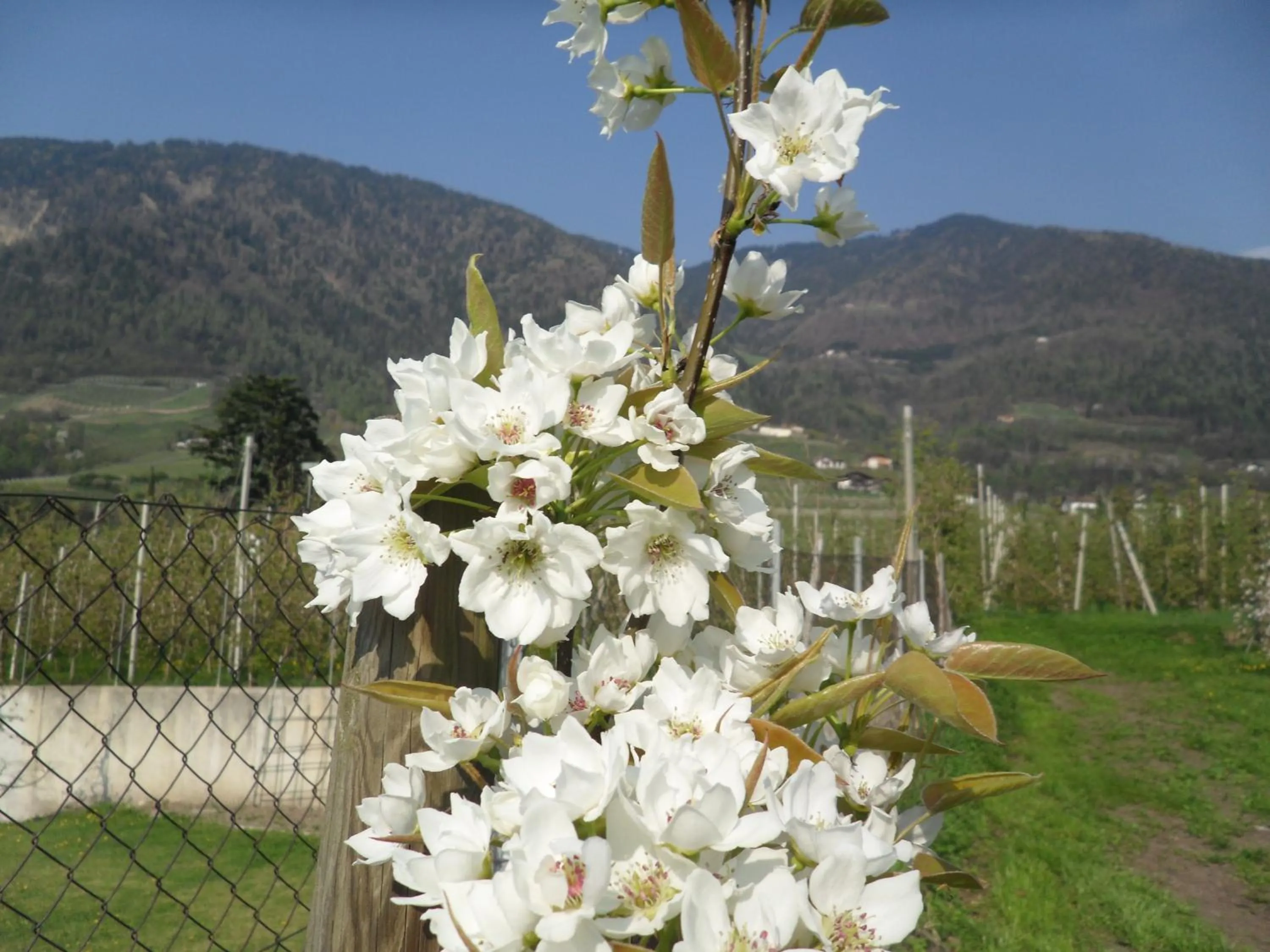 Area and facilities in Hotel FleurAlp