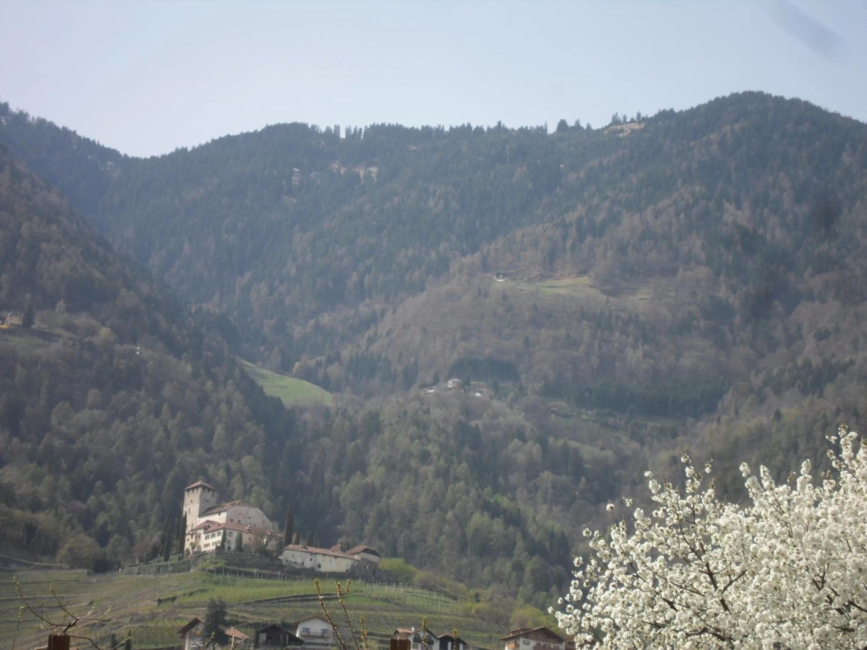 Mountain view in Hotel FleurAlp