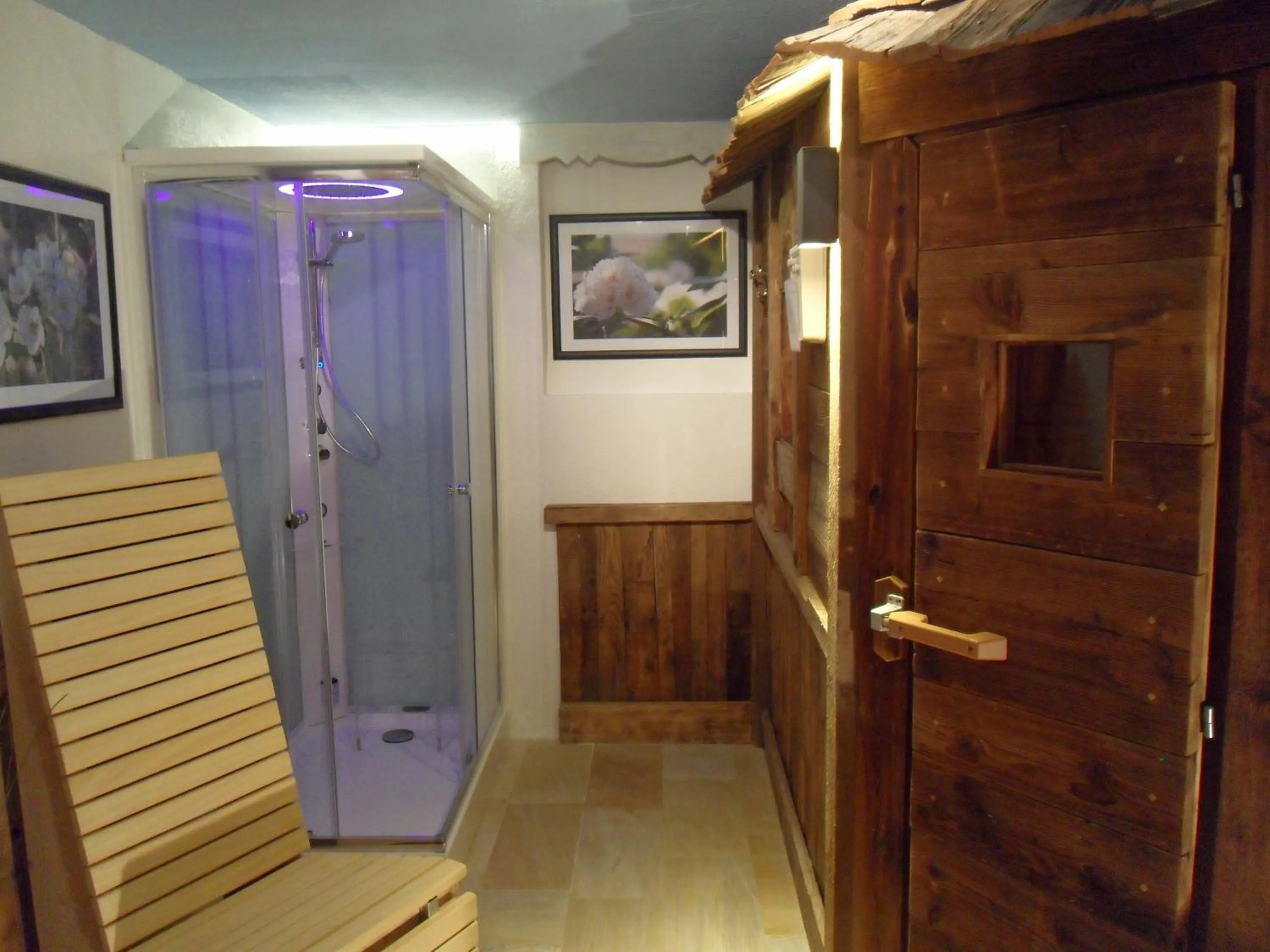 Sauna in Hotel FleurAlp