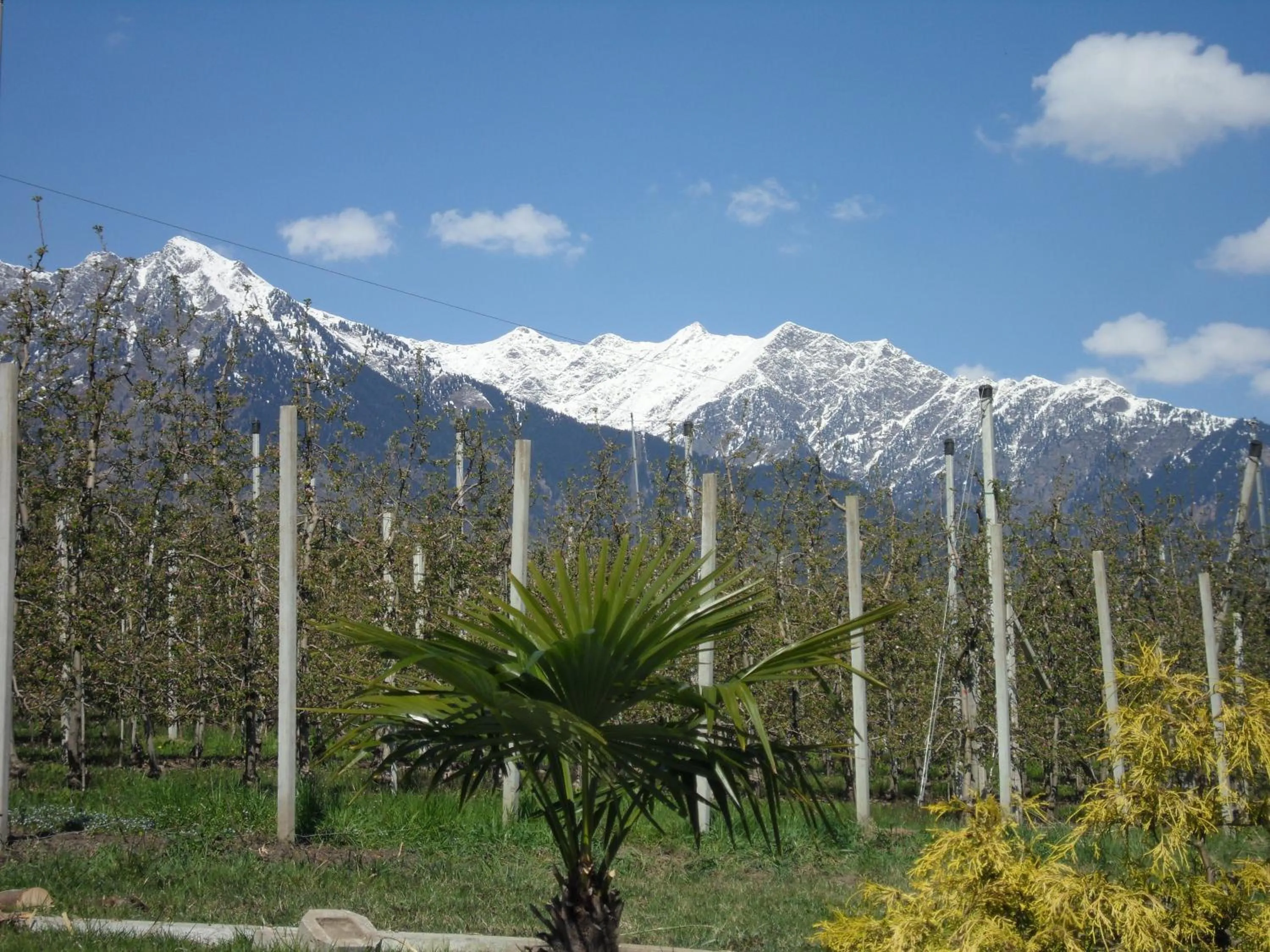 Area and facilities in Hotel FleurAlp