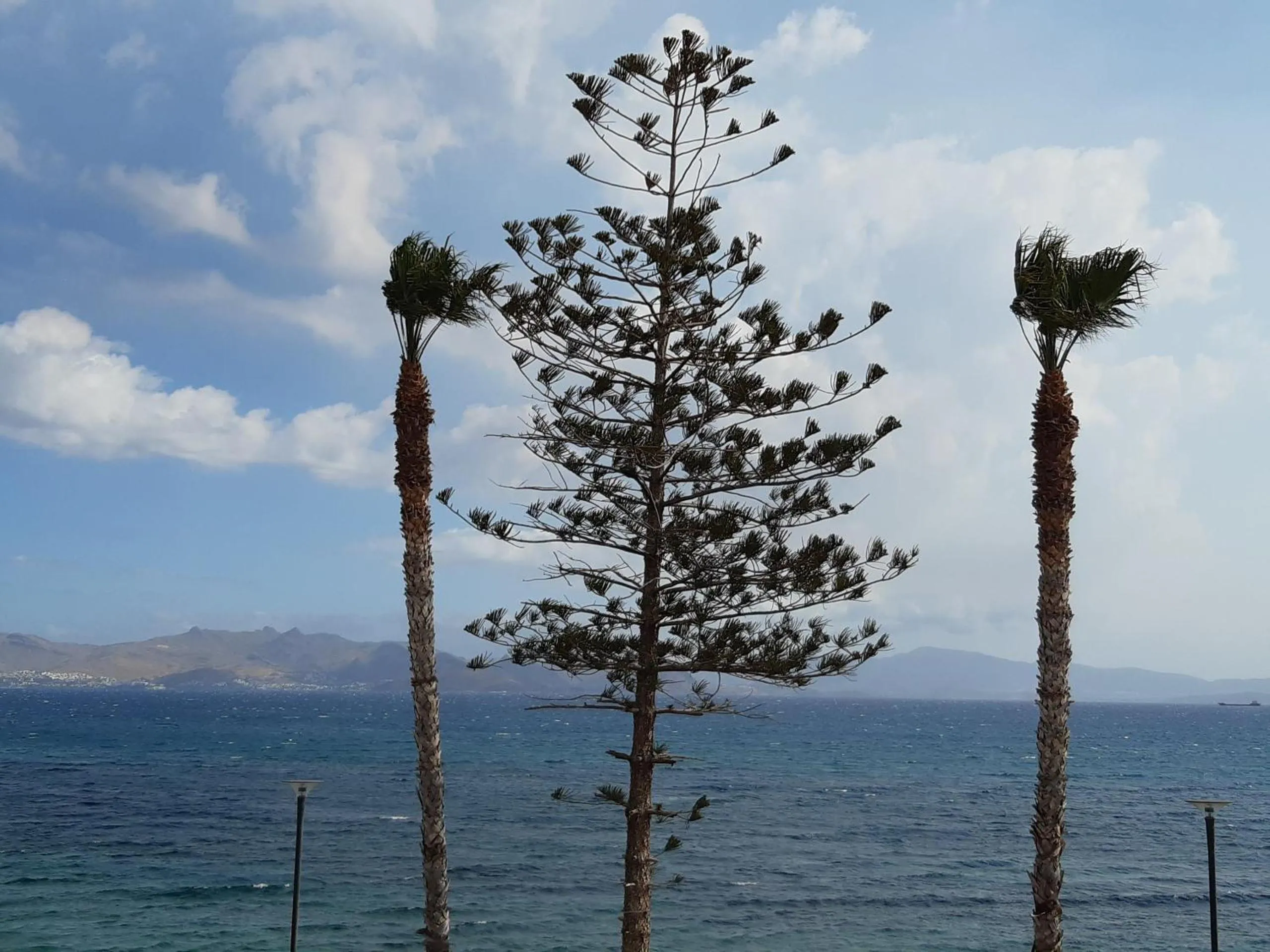 Sea view in Bristol Sea View Apartments