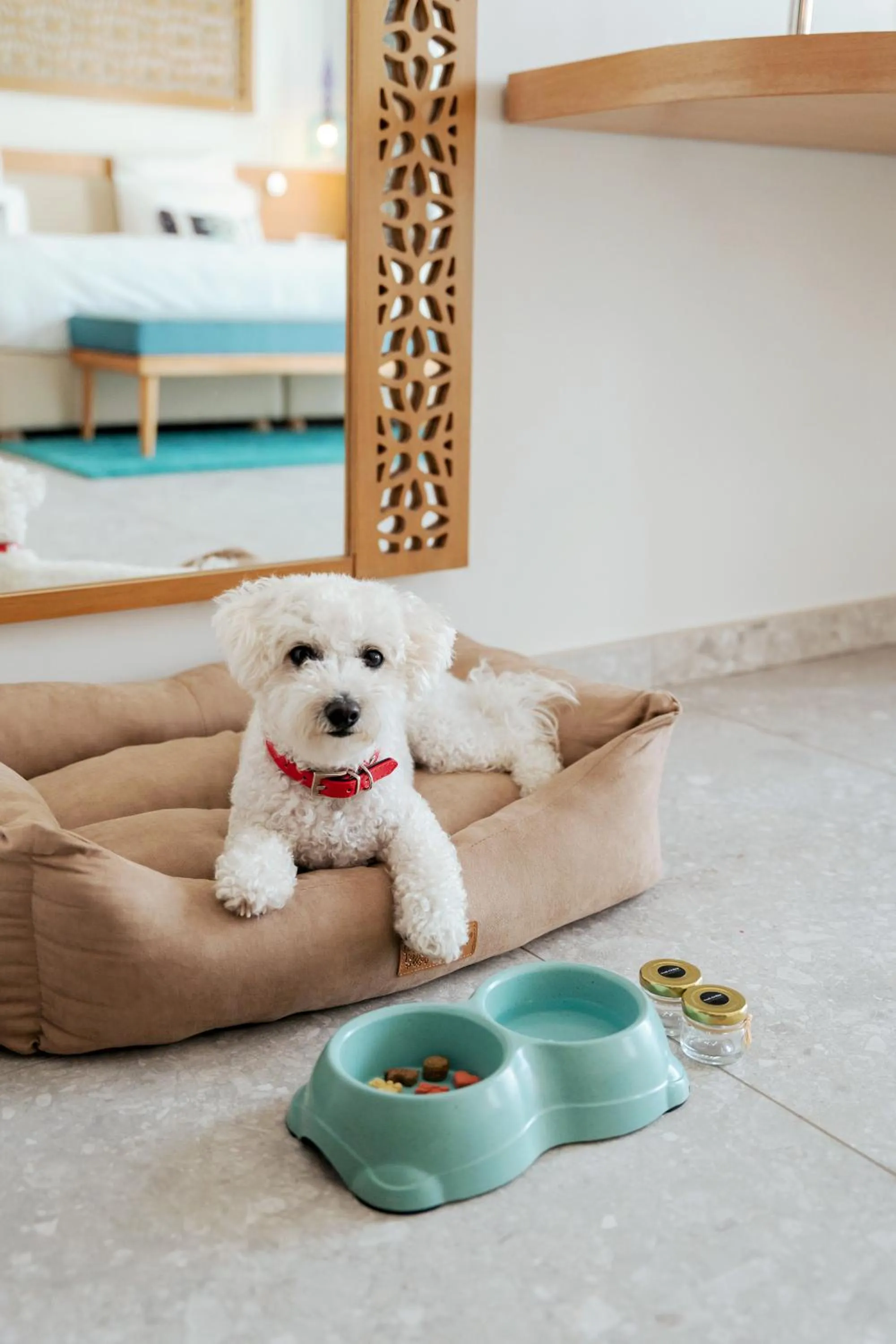 pet friendly in The Chedi Luštica Bay