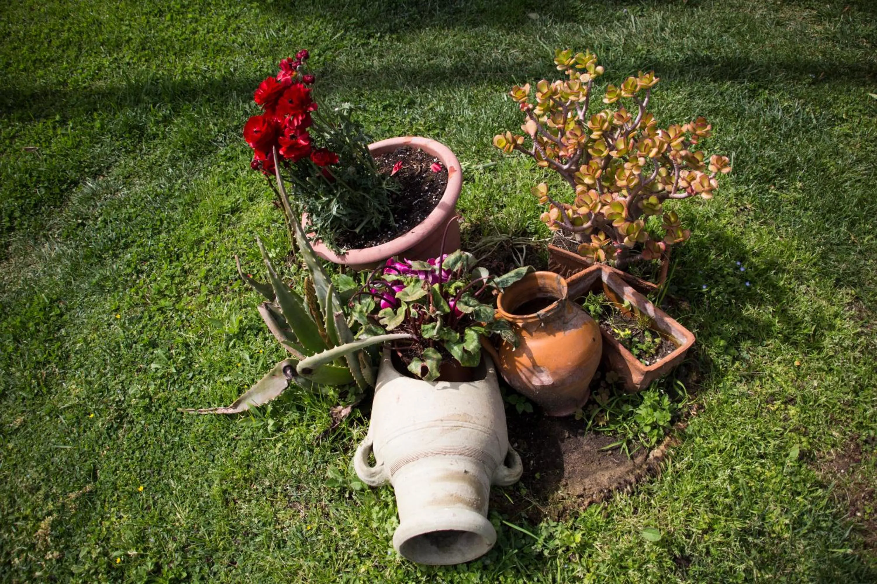 Garden in Villa Ida Bed & Breakfast