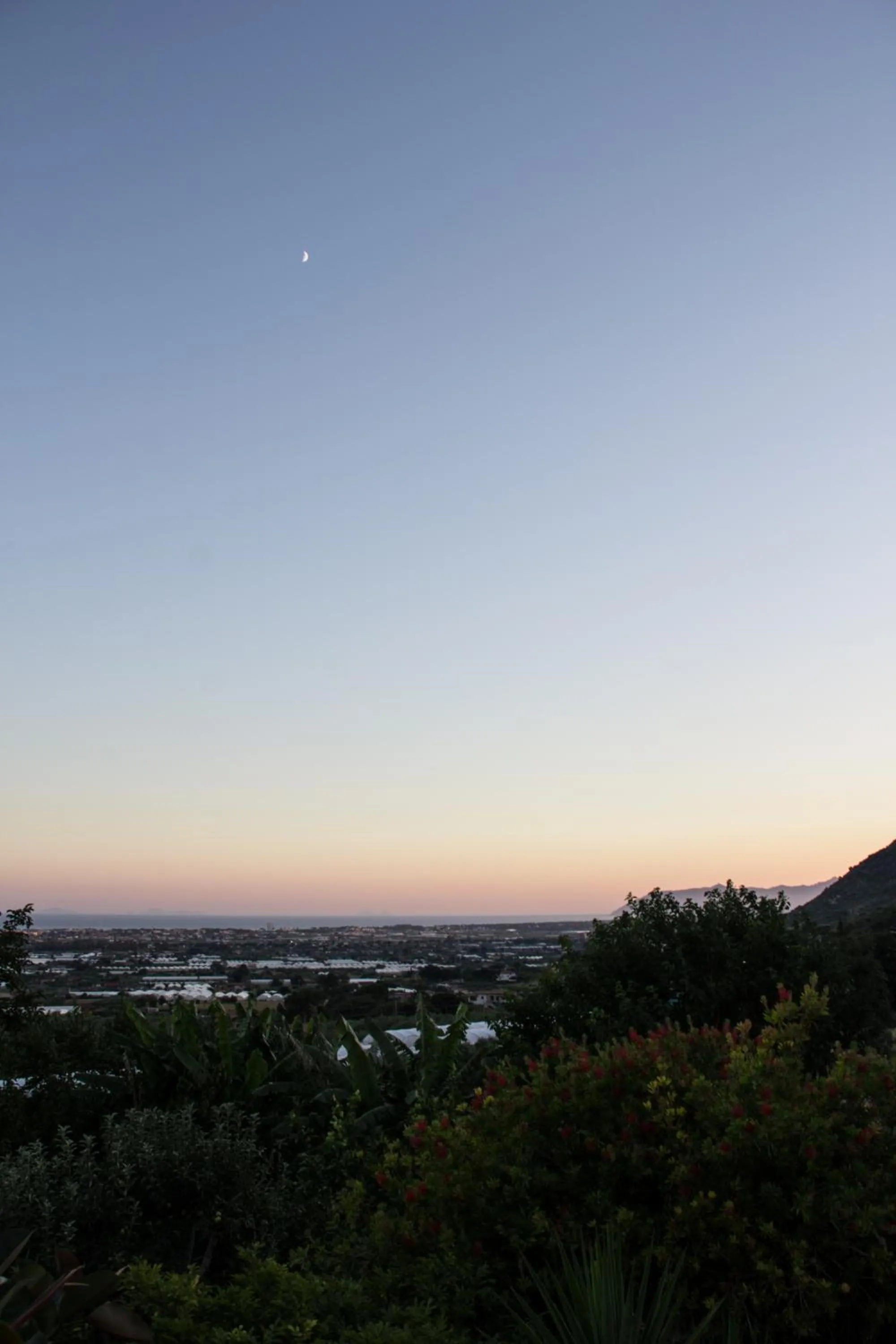 Garden in Villa Ida Bed & Breakfast