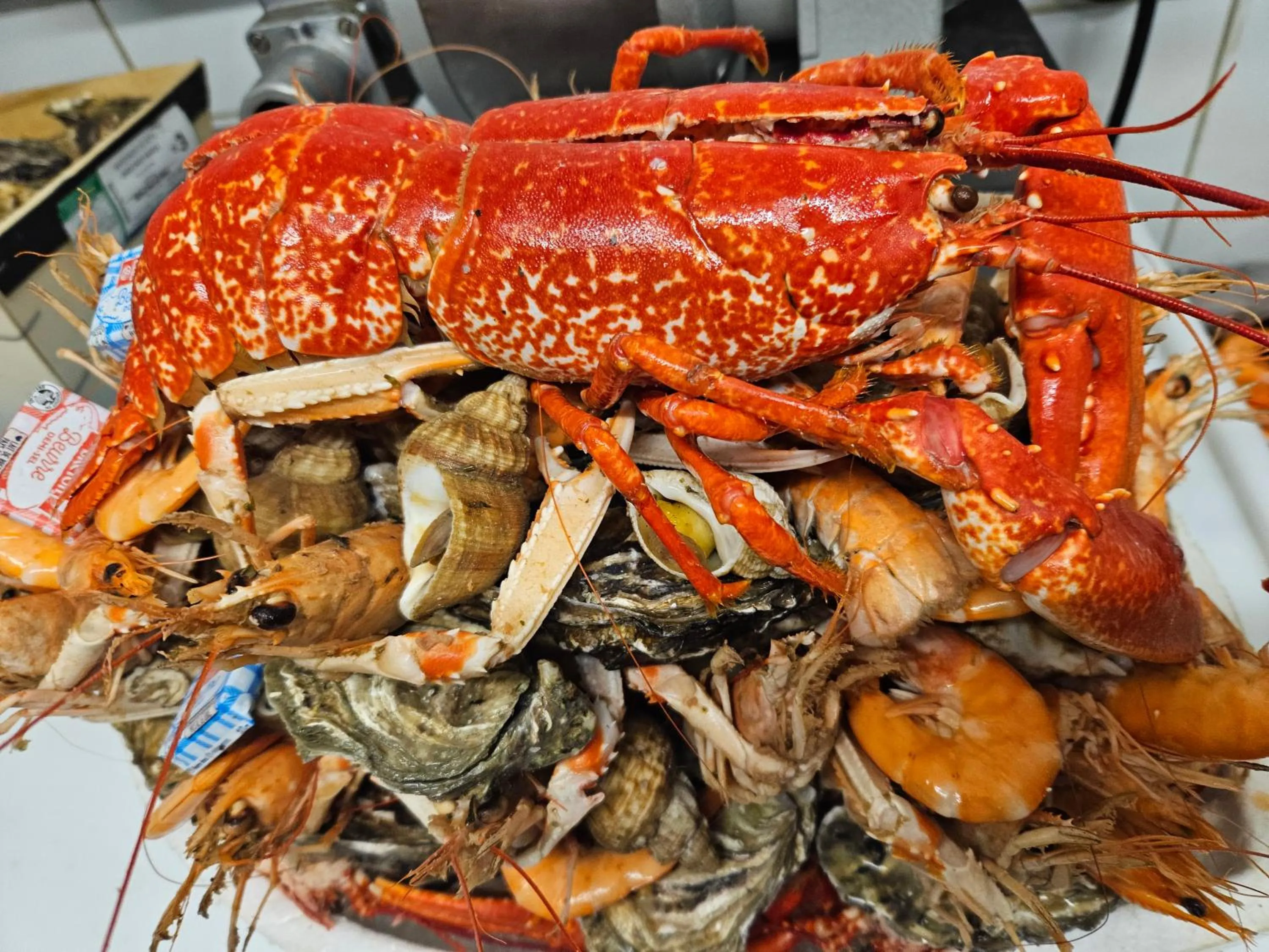 Hôtel Auberge de la Bonde logis