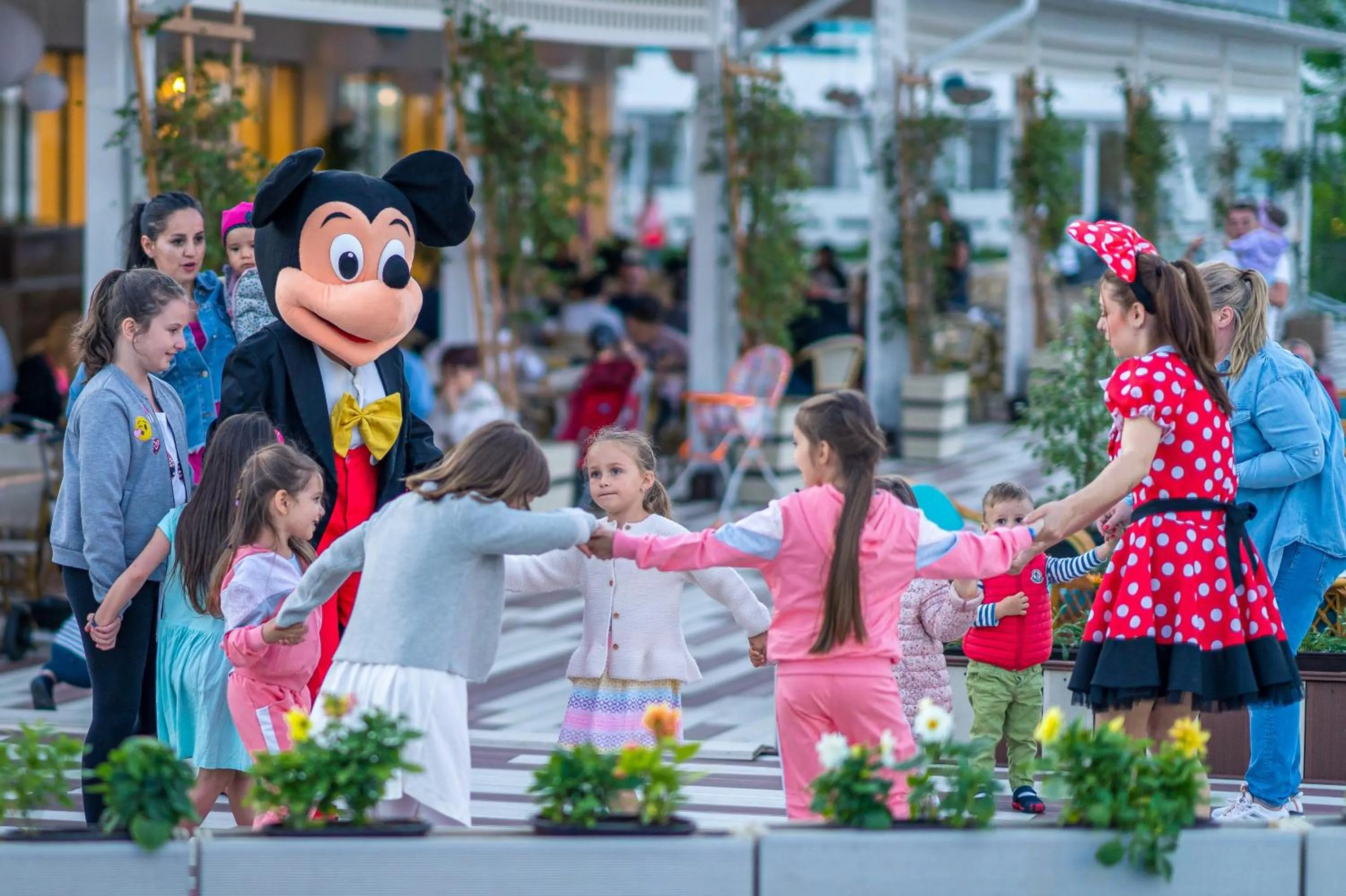 Activities in Mera Onix