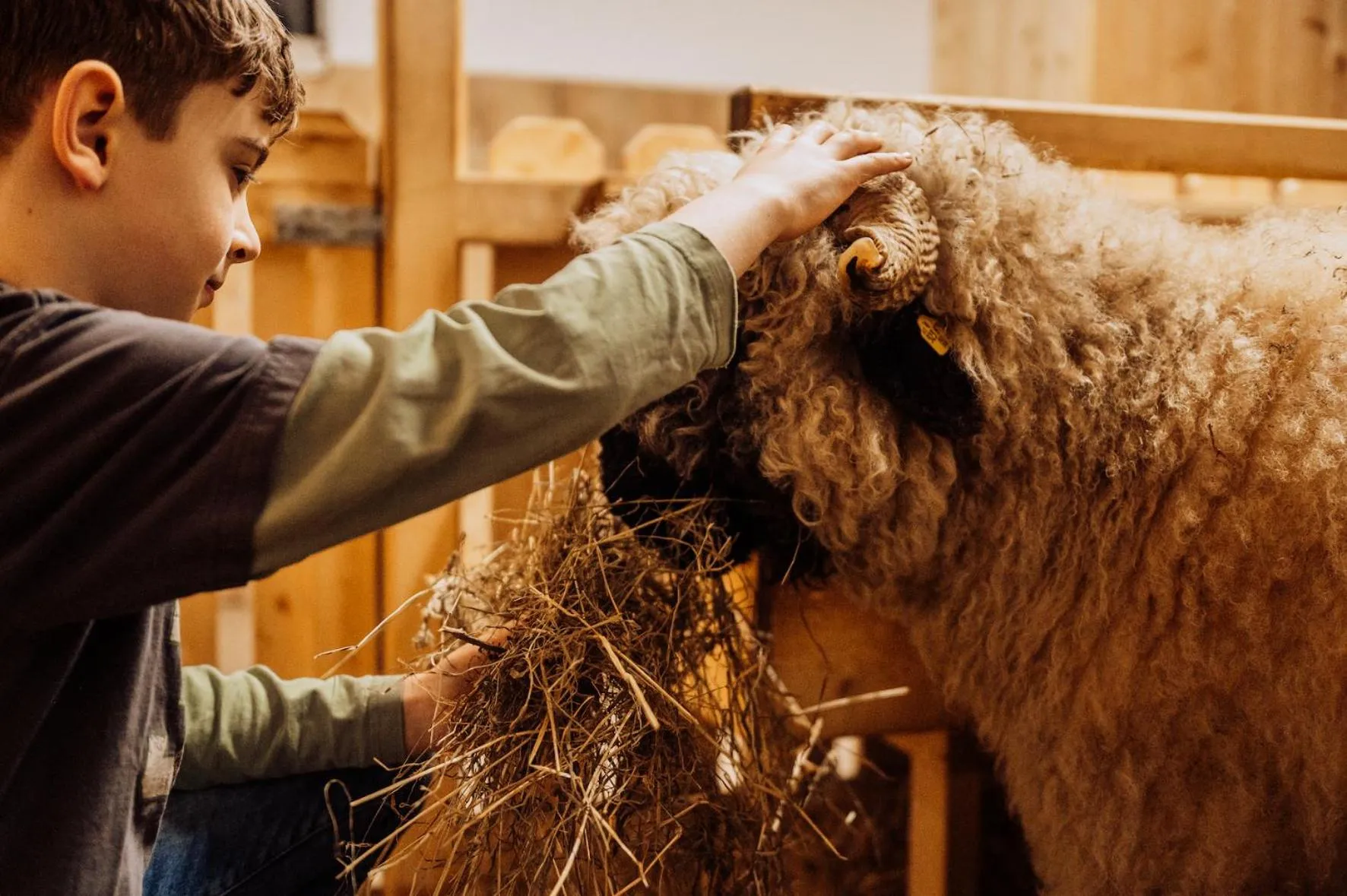 Animals in Erlebnisgut & Reiterhof Oberhabach