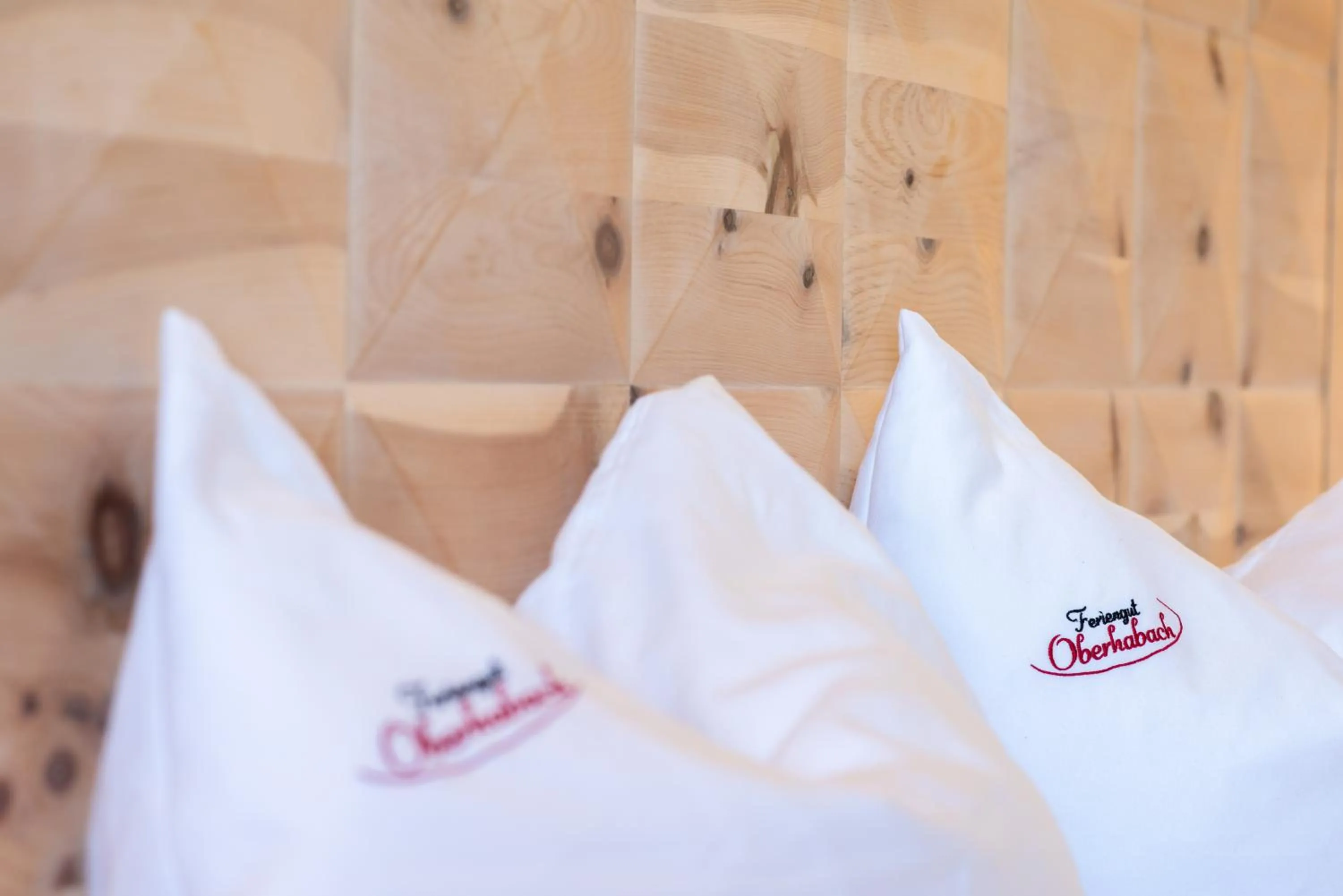 Decorative detail in Erlebnisgut & Reiterhof Oberhabach