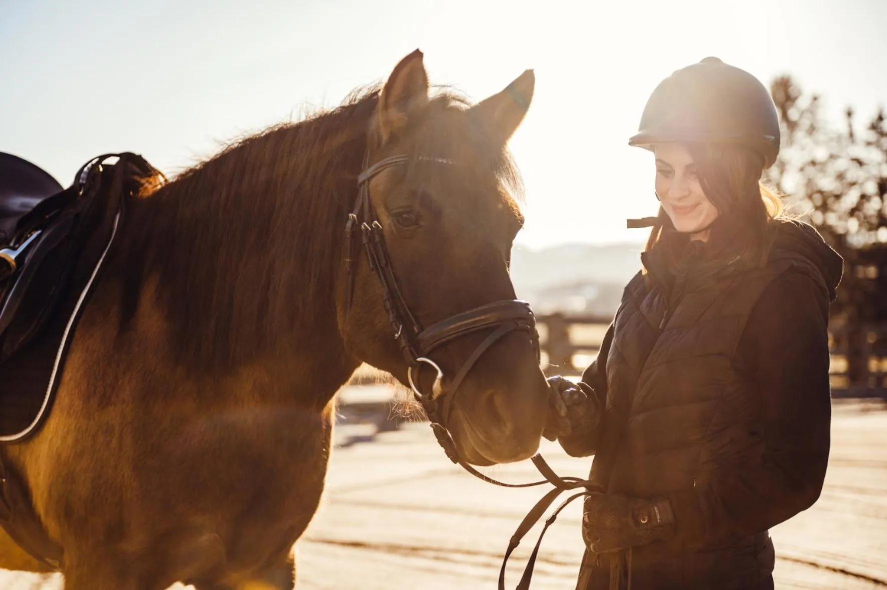 Horse-riding in Erlebnisgut & Reiterhof Oberhabach