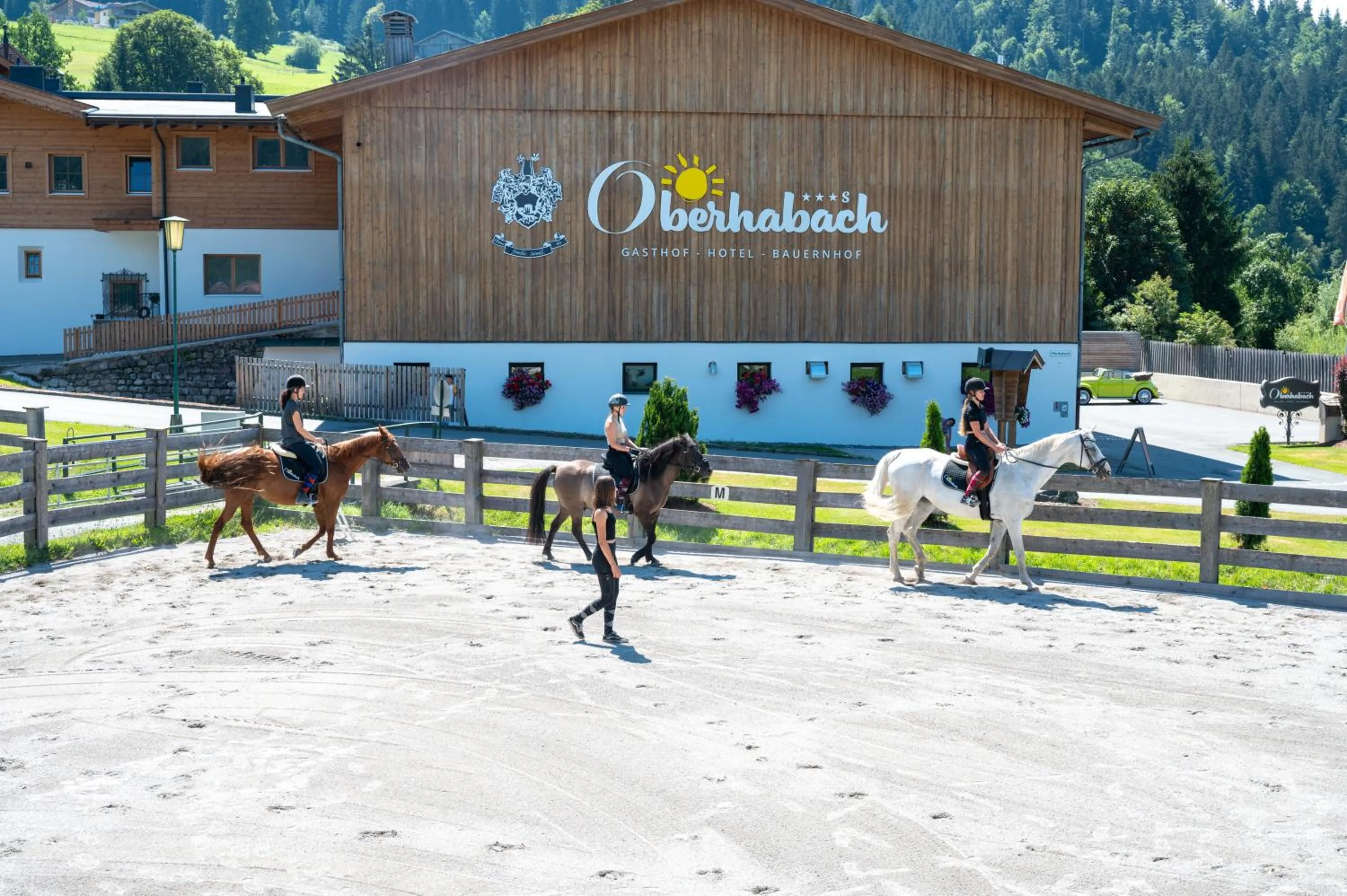 Horse-riding in Erlebnisgut & Reiterhof Oberhabach