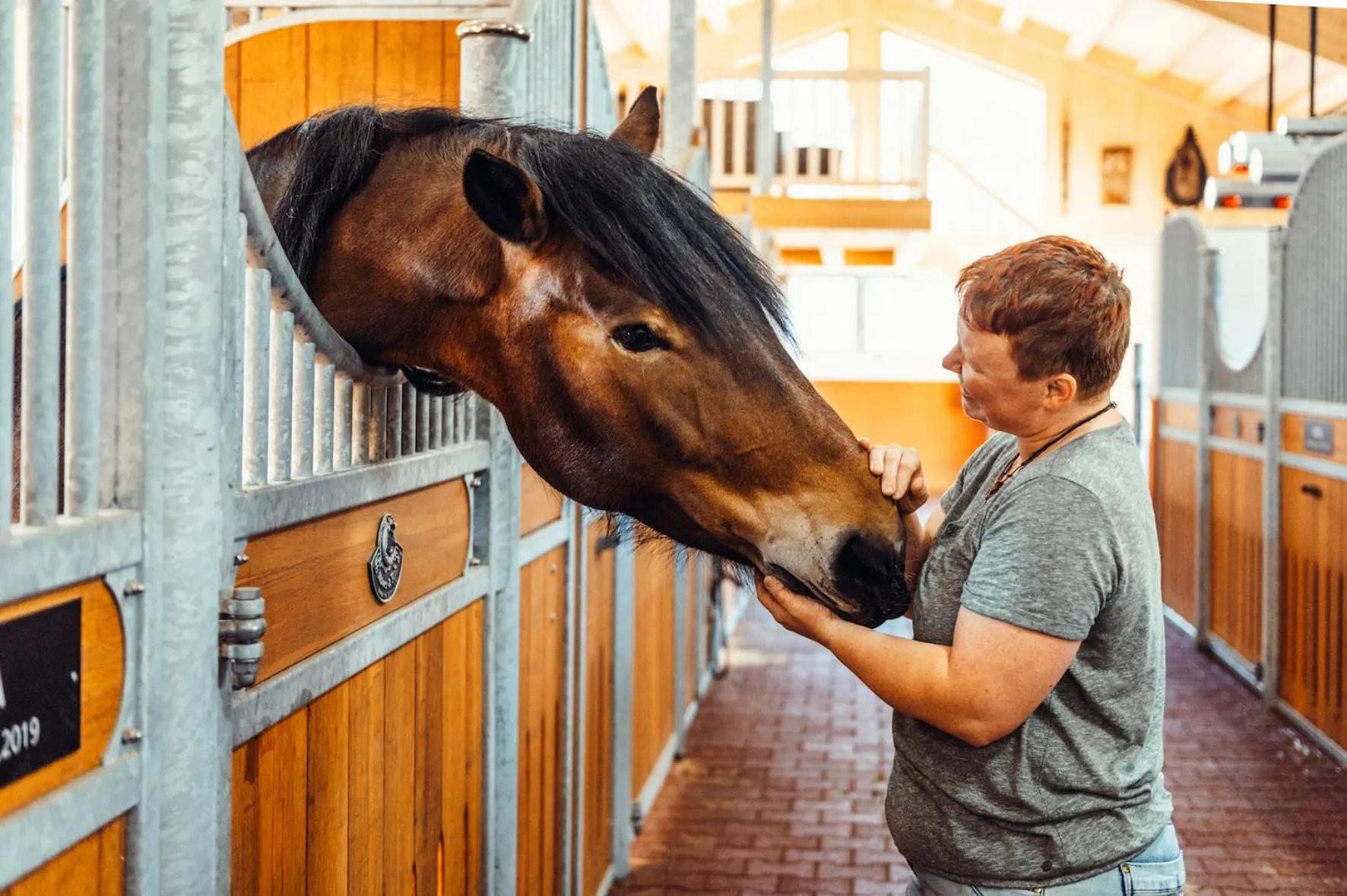 Horse-riding in Erlebnisgut & Reiterhof Oberhabach