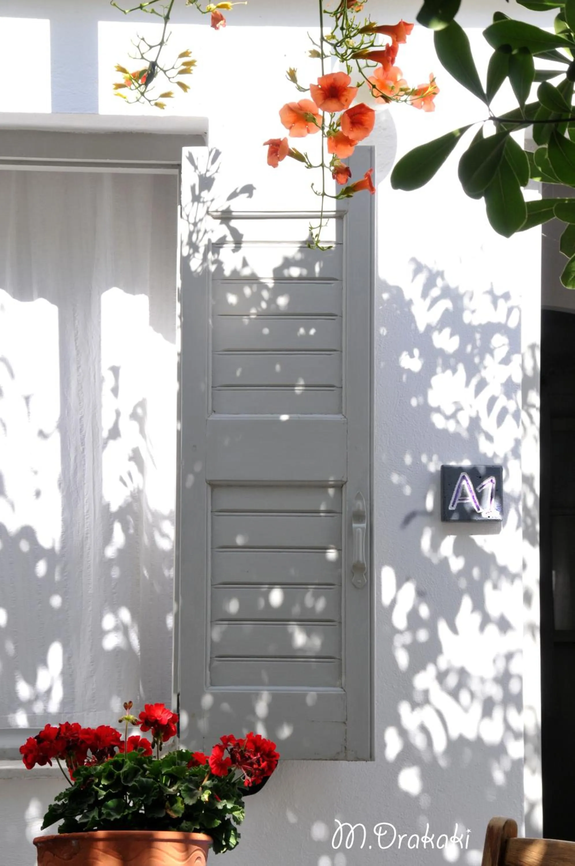 Day in Aegean Village