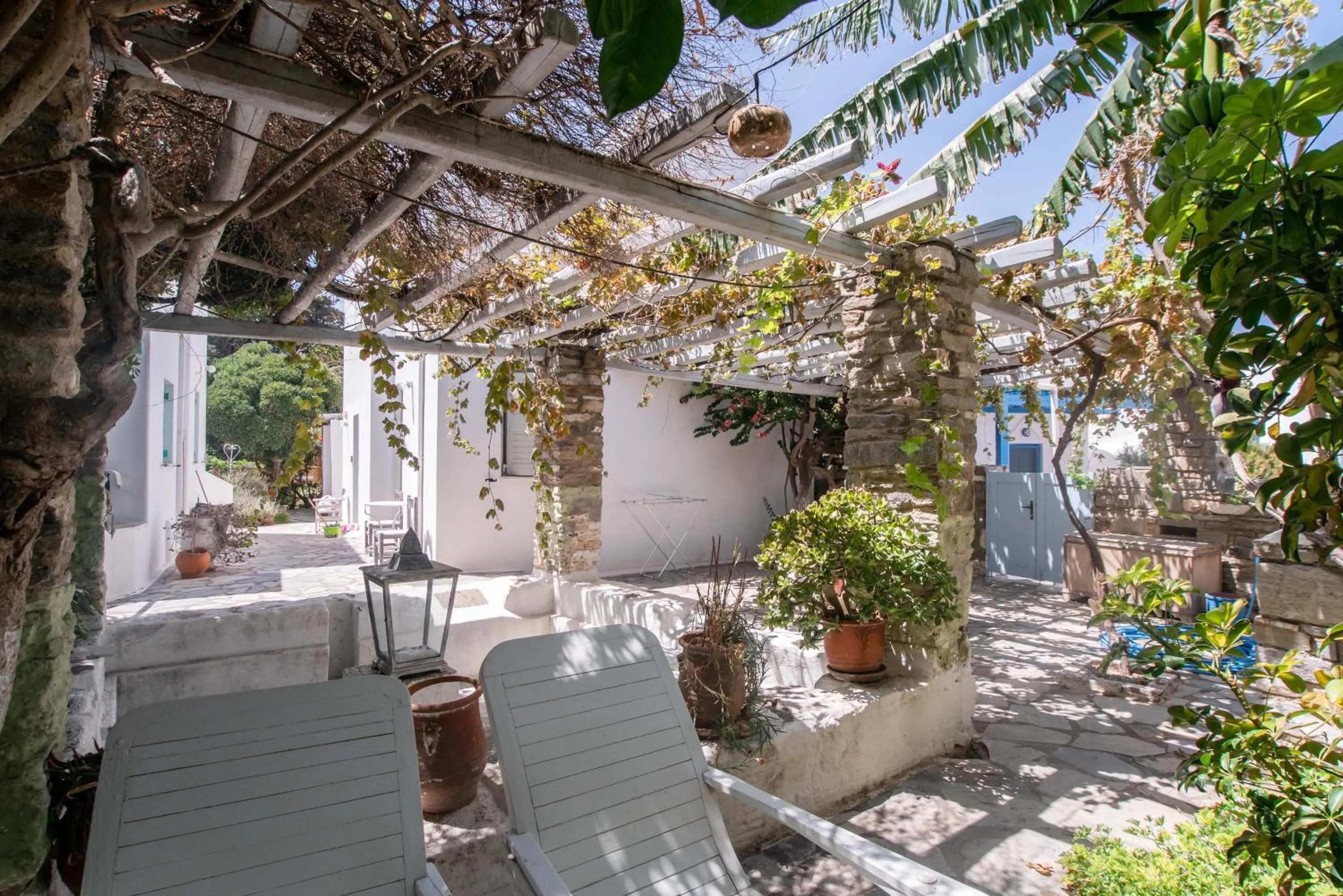 Garden in Aegean Village