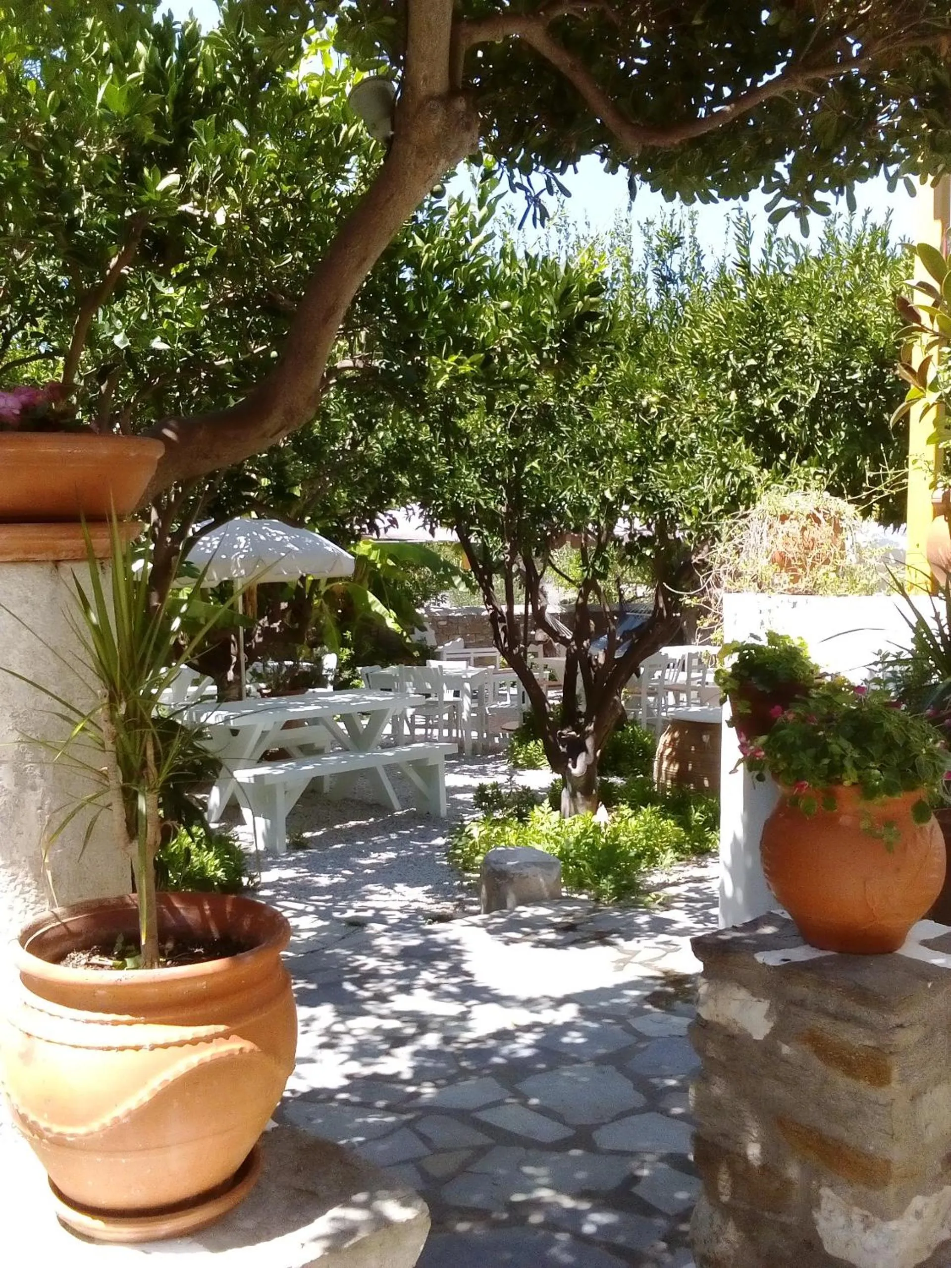 Day in Aegean Village