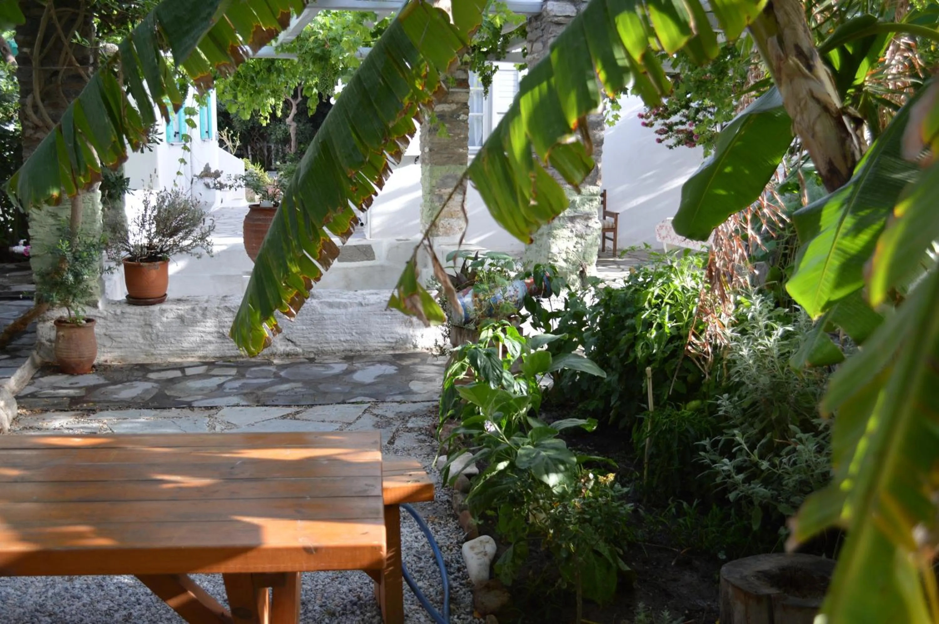 Day in Aegean Village