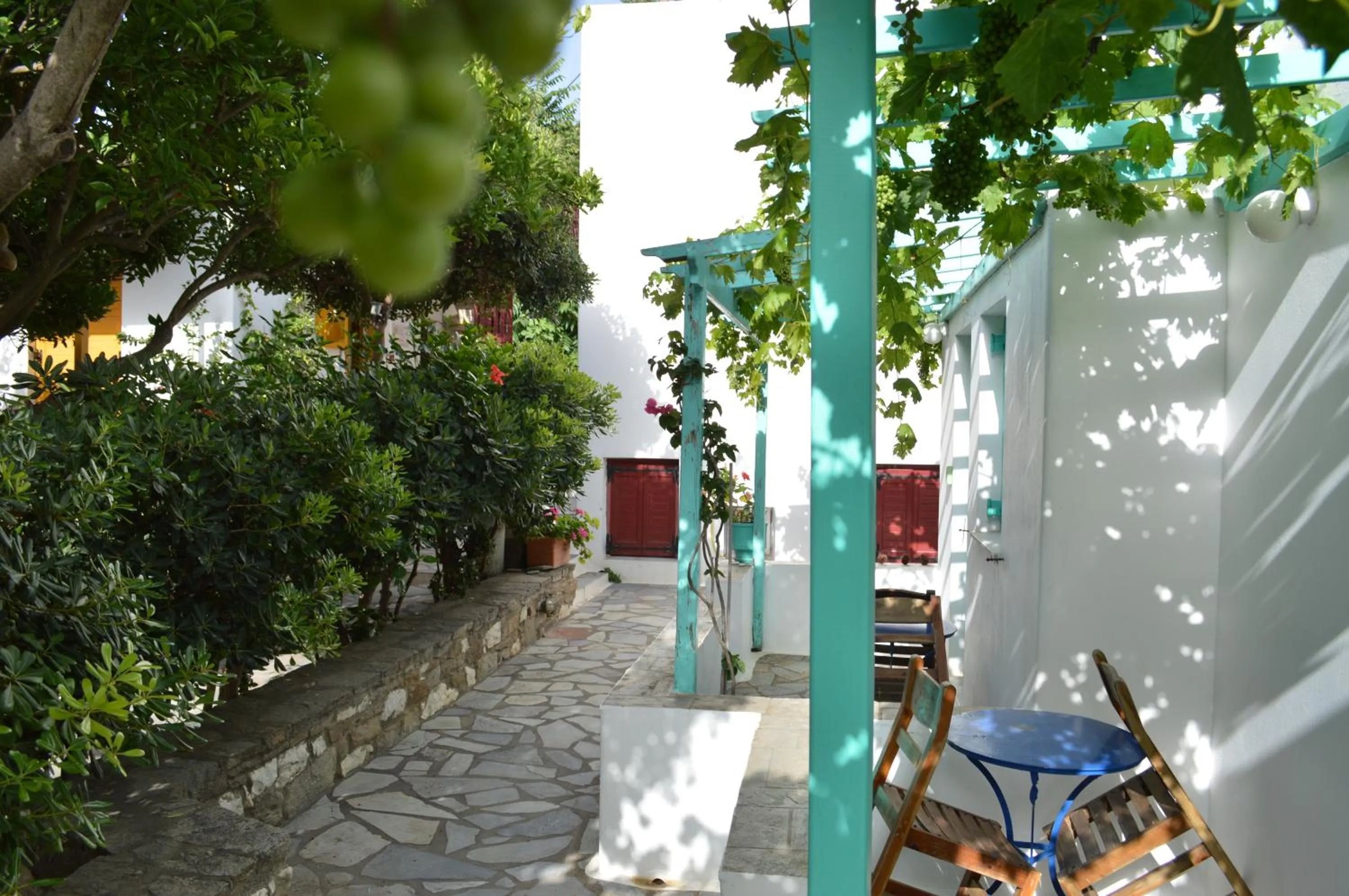 Spring in Aegean Village