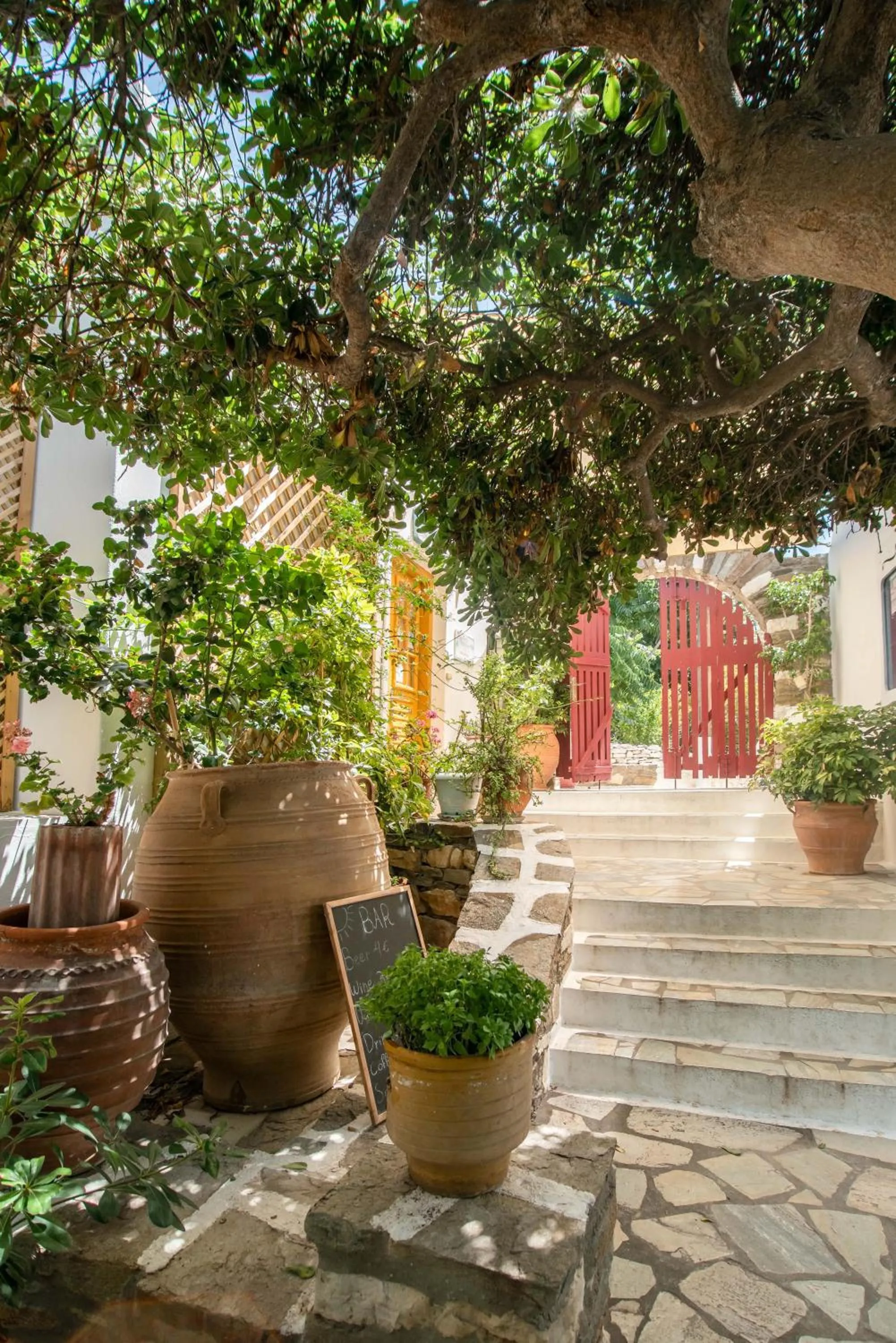 Garden in Aegean Village