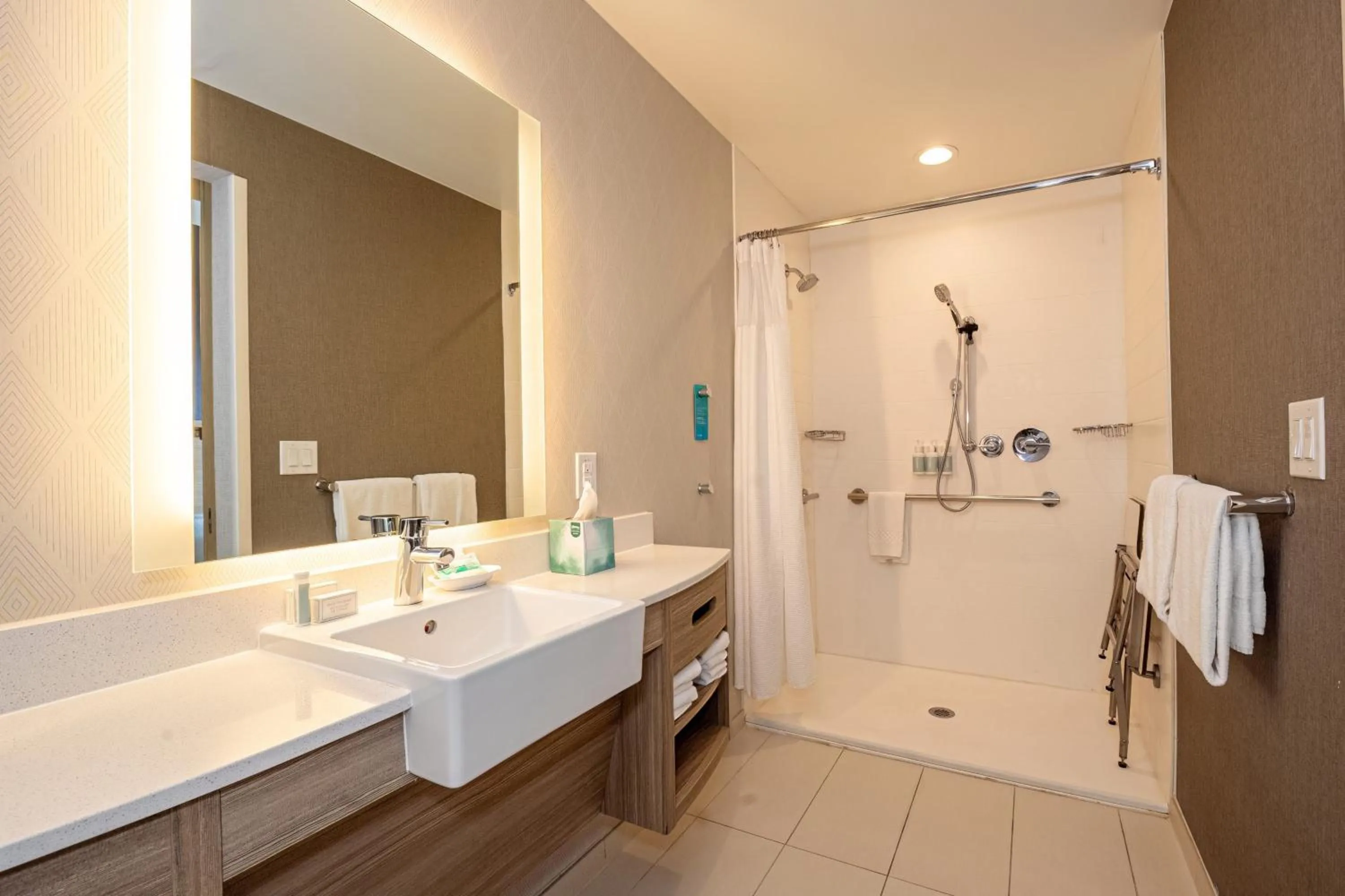 Bathroom in SpringHill Suites by Marriott Dallas McKinney