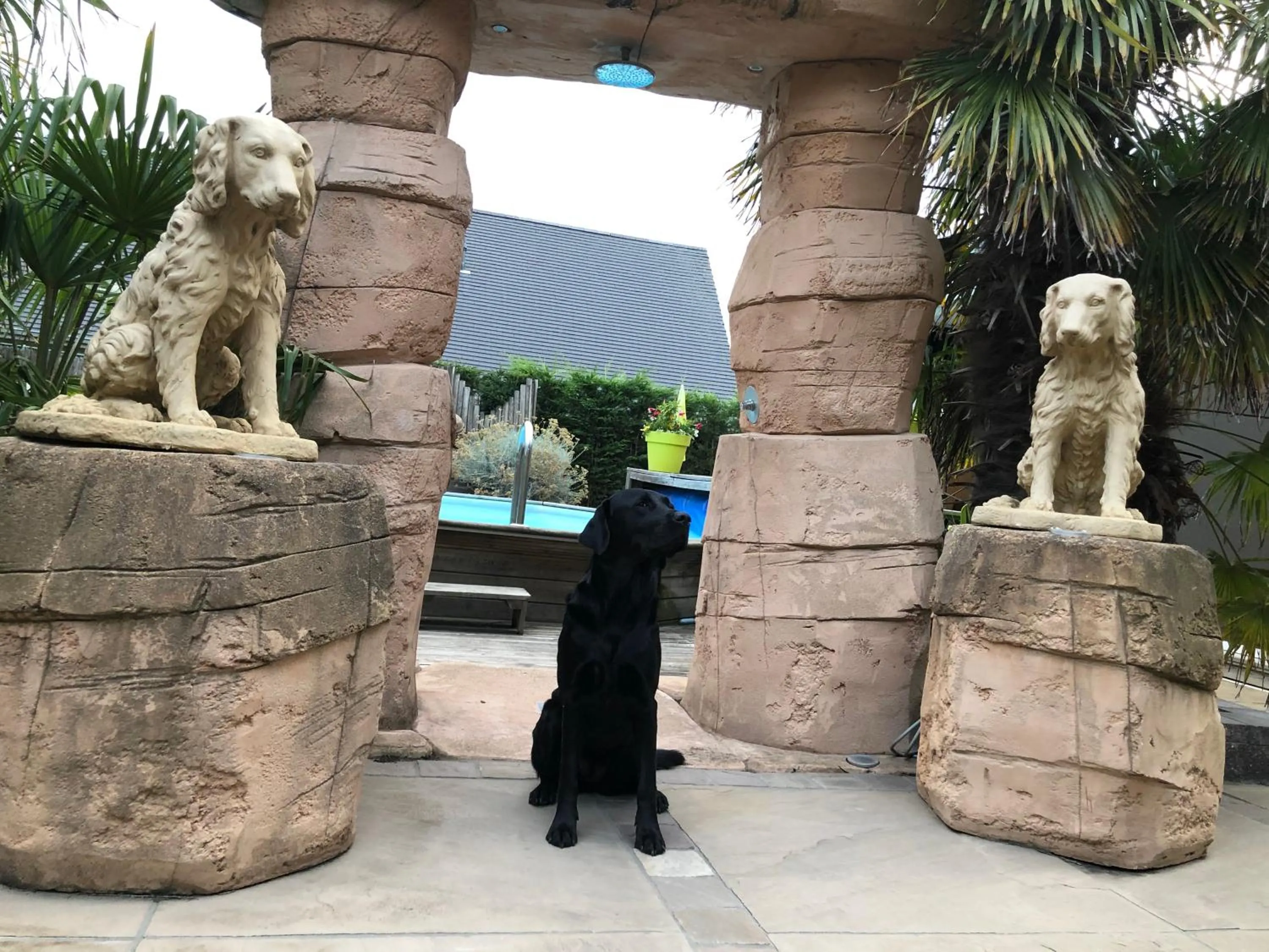 Inner courtyard view in B&B wellness Sea Nat voor Naturisten