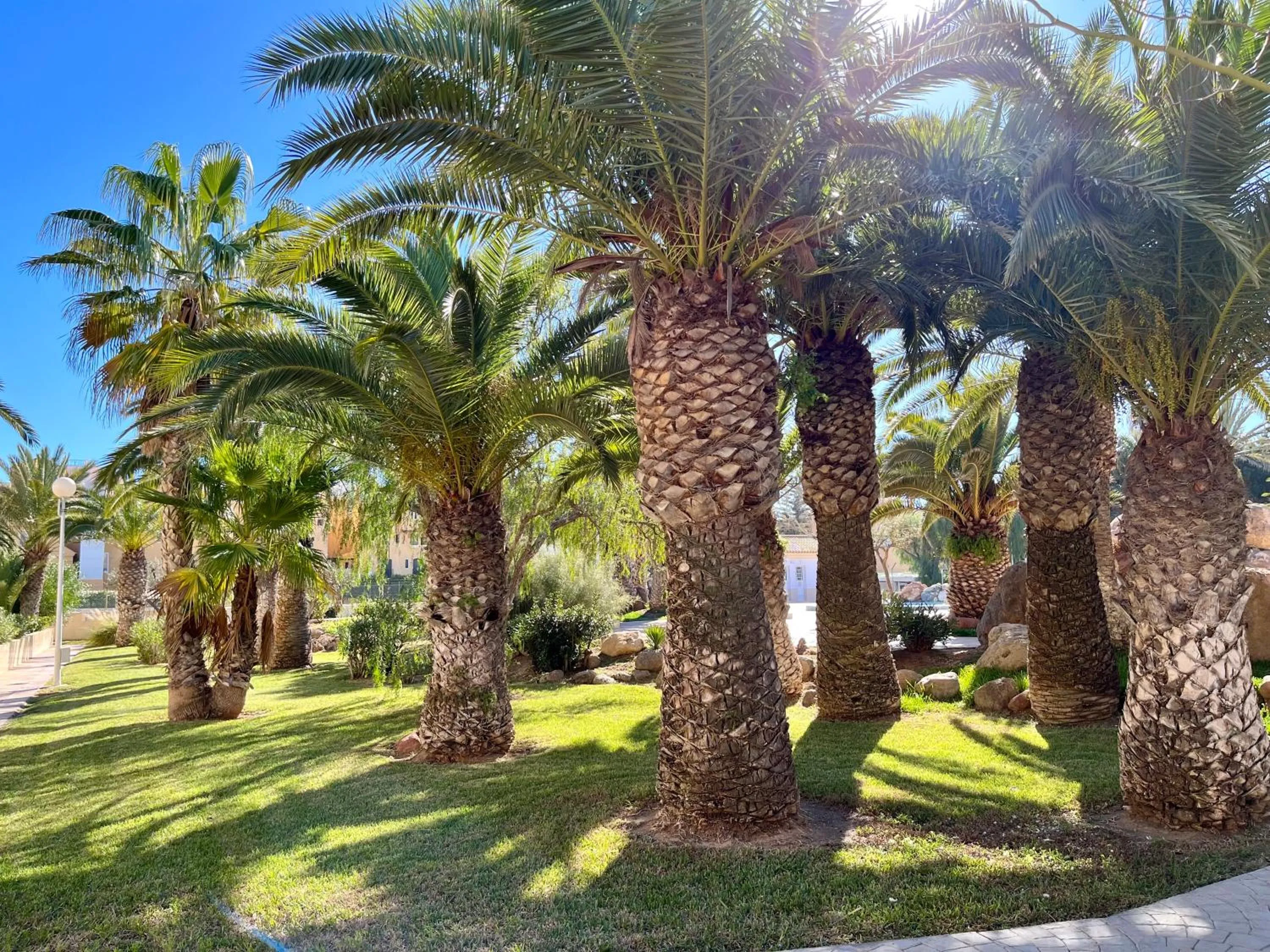 Garden in Apartamentos Moguima