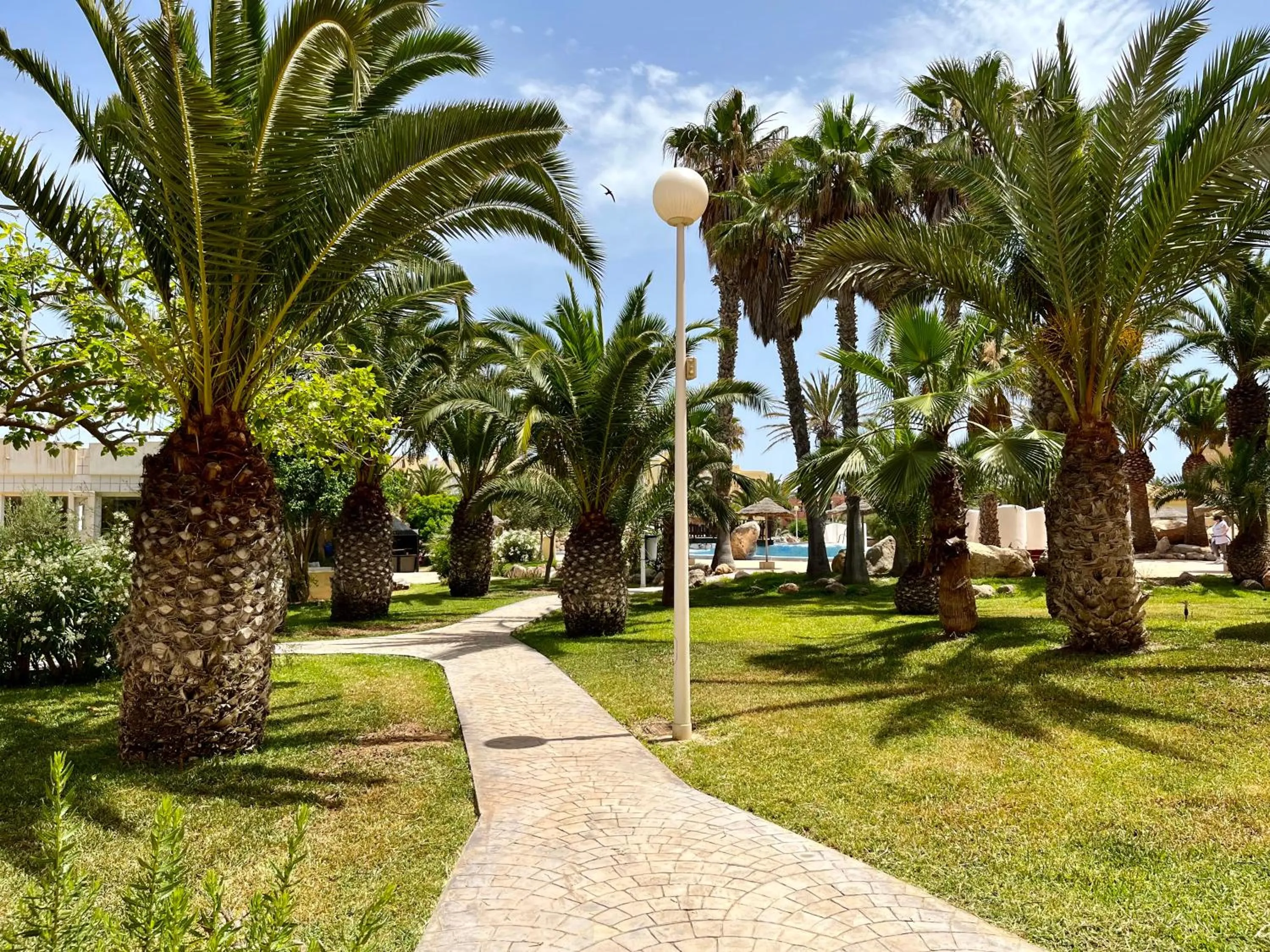 Garden in Apartamentos Moguima
