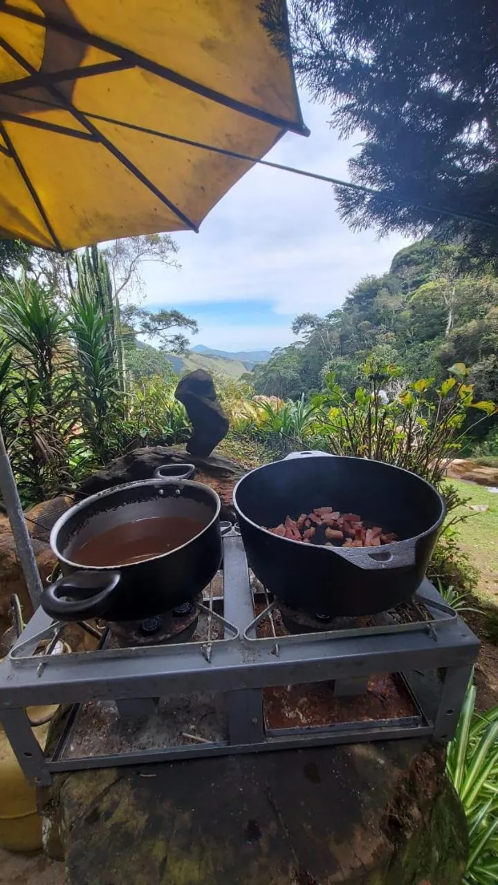 Day in Chales Bamboo Jungle