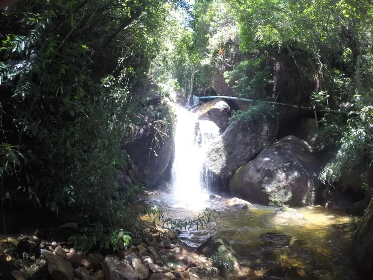 Natural landscape in Chales Bamboo Jungle