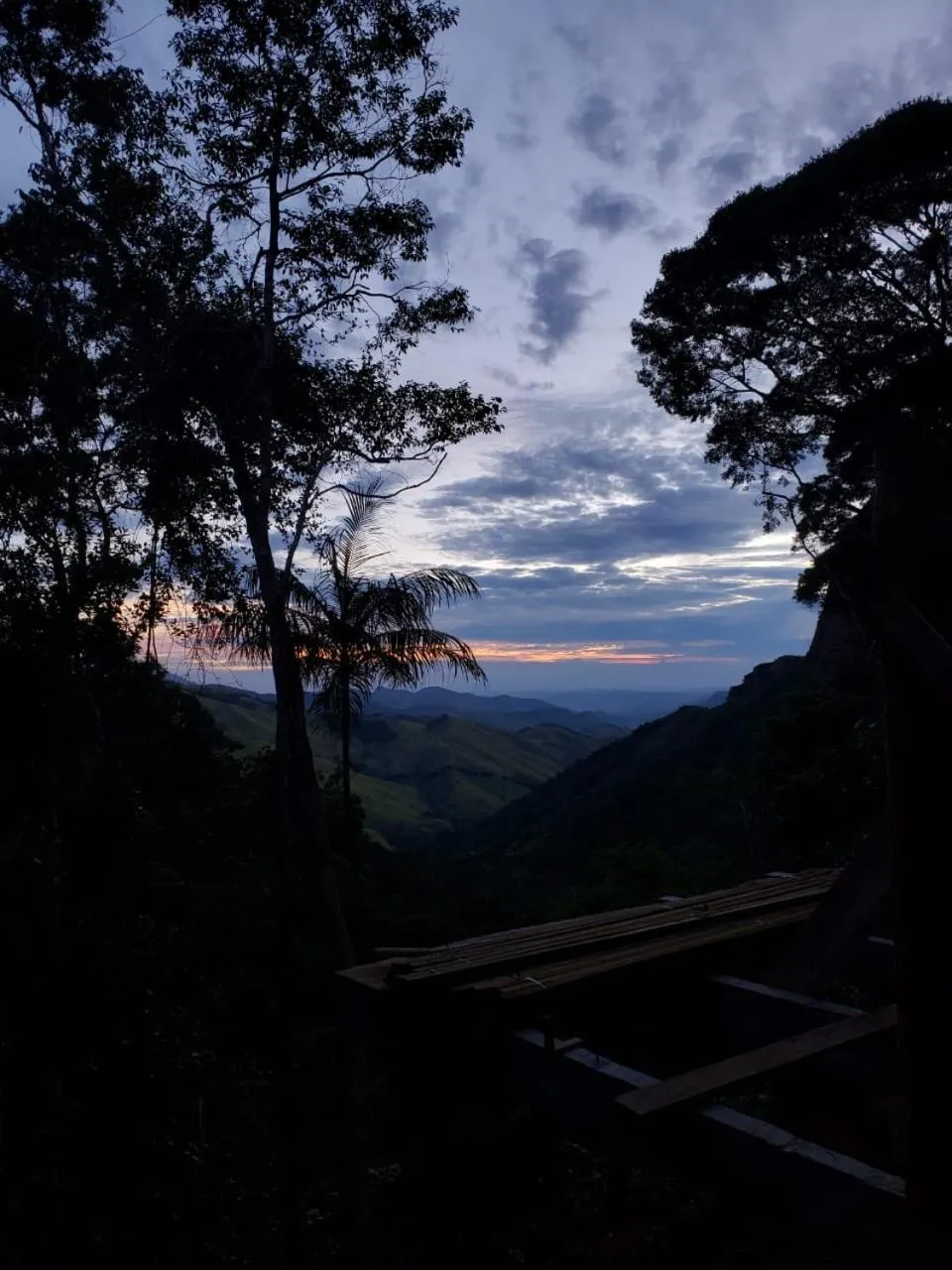 Chales Bamboo Jungle