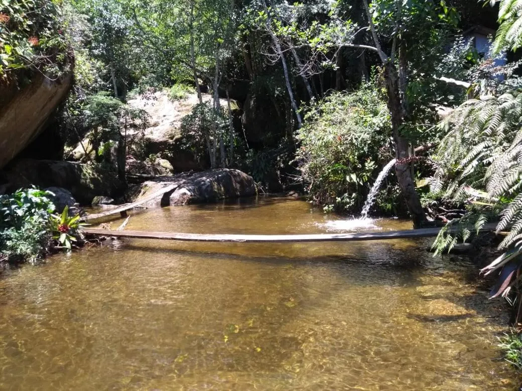 Natural landscape in Chales Bamboo Jungle